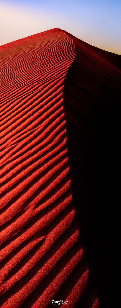 Symmetrical lining curves on a surface of desert, Namibia 41, Africa 