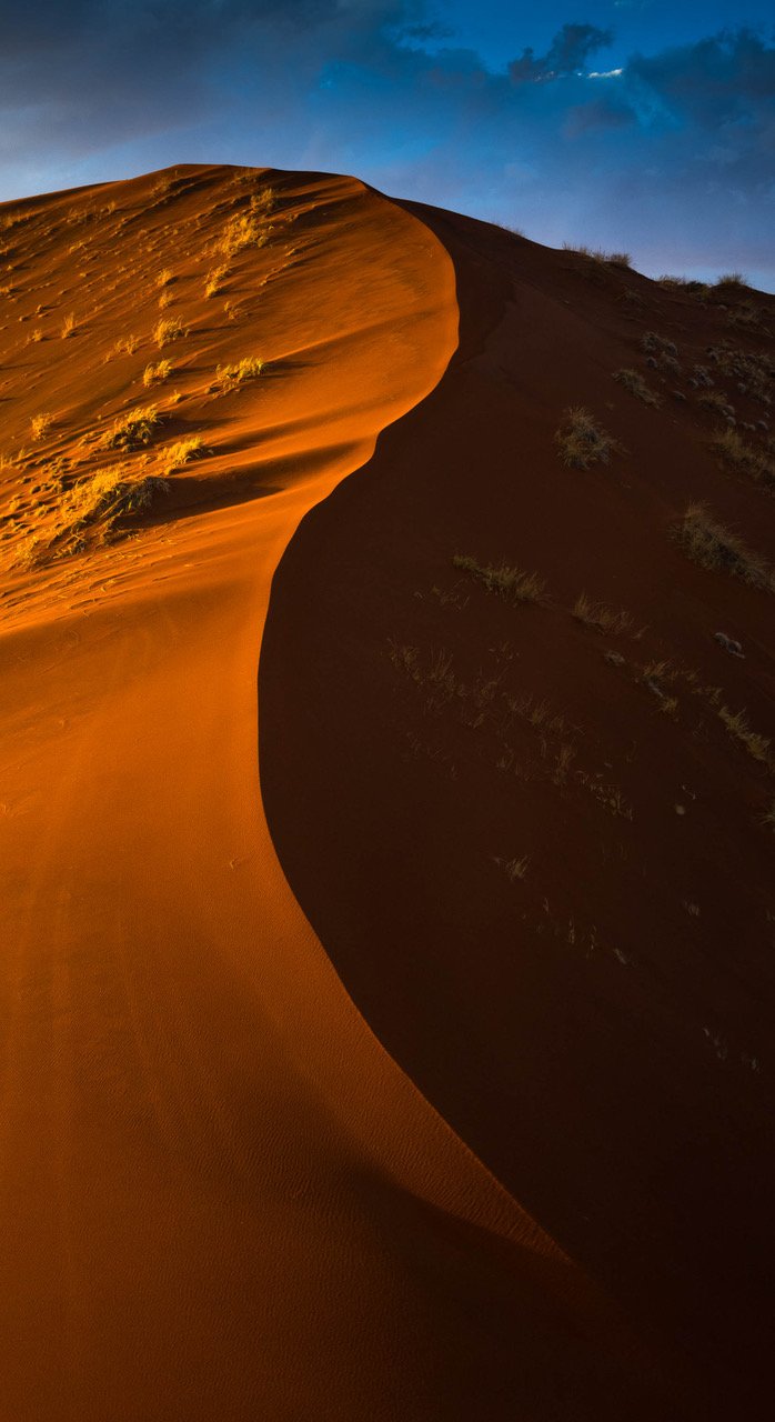 Desert with golden shade and a rising sand mound, Namibia #6, Africa