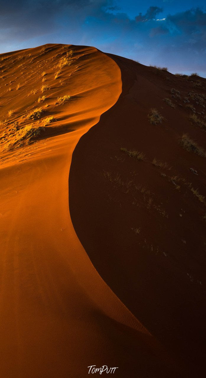 Desert with golden shade and a rising sand mound, Namibia #6, Africa