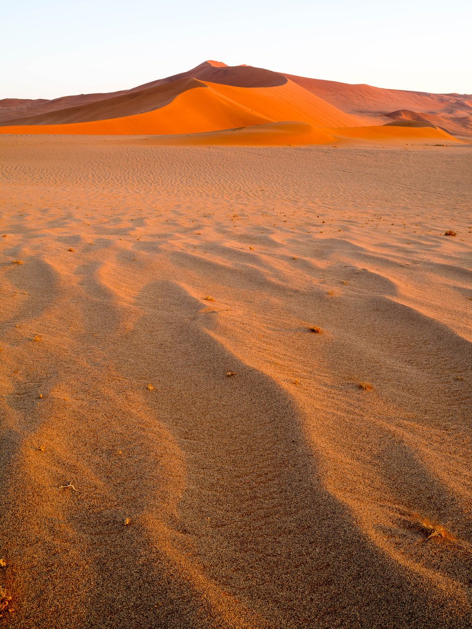 Desert with wavy sand, Namibia #7, Africa