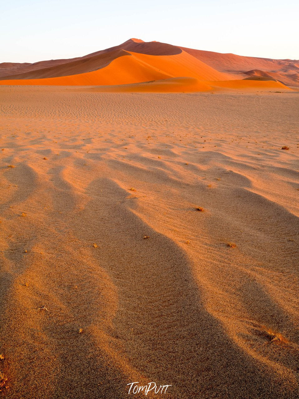 Desert with wavy sand, Namibia No.7, Africa