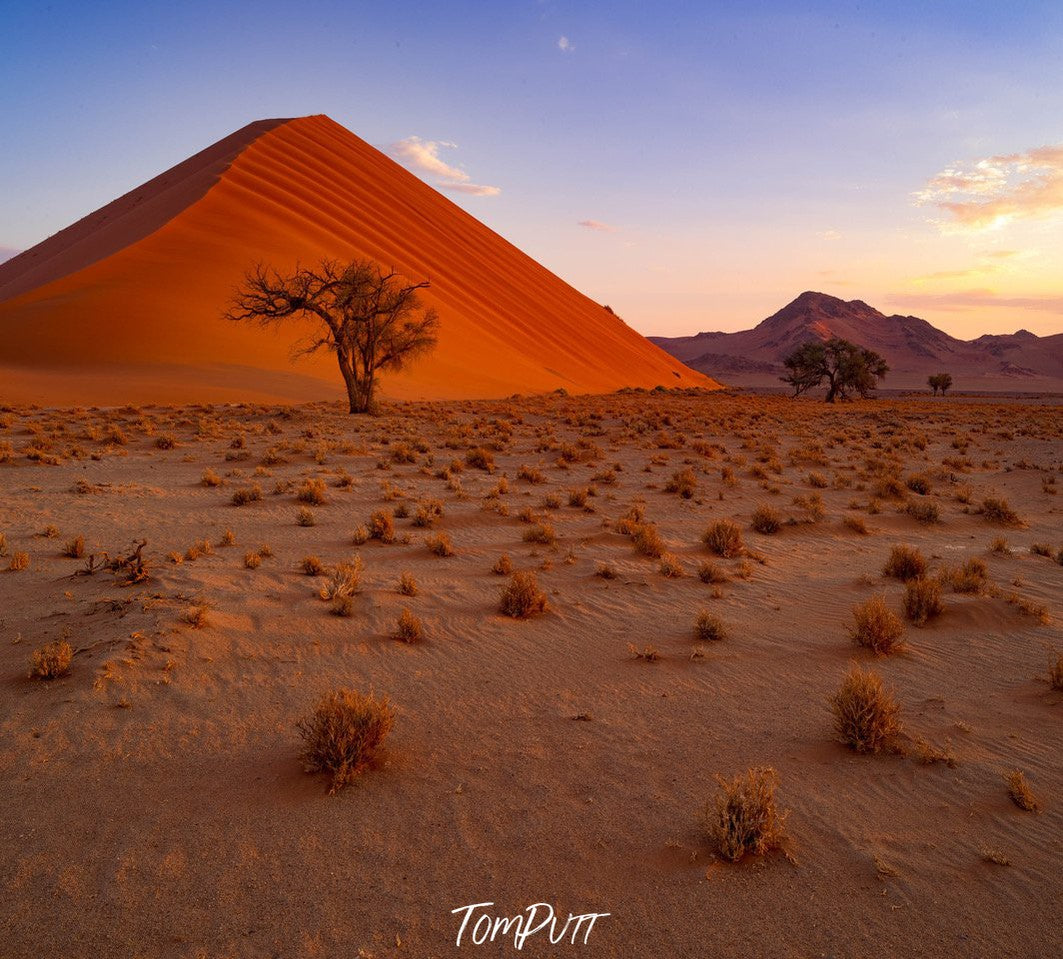 Dune 45 at sunset, Namibia, Africa