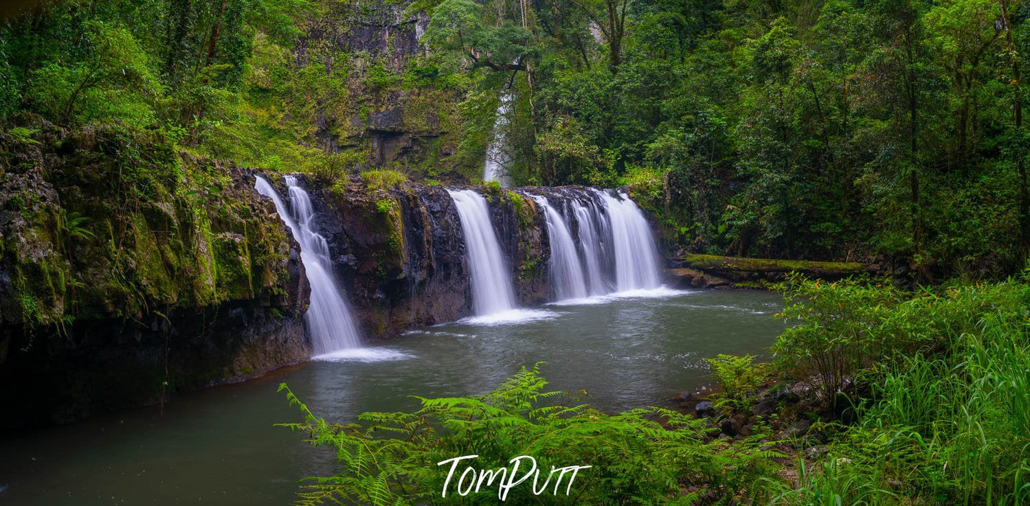 Waterfalls from a green mound in a small lake, Nandroya Falls, Far North Queensland