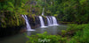 Waterfalls from a green mound in a small lake, Nandroya Falls, Far North Queensland