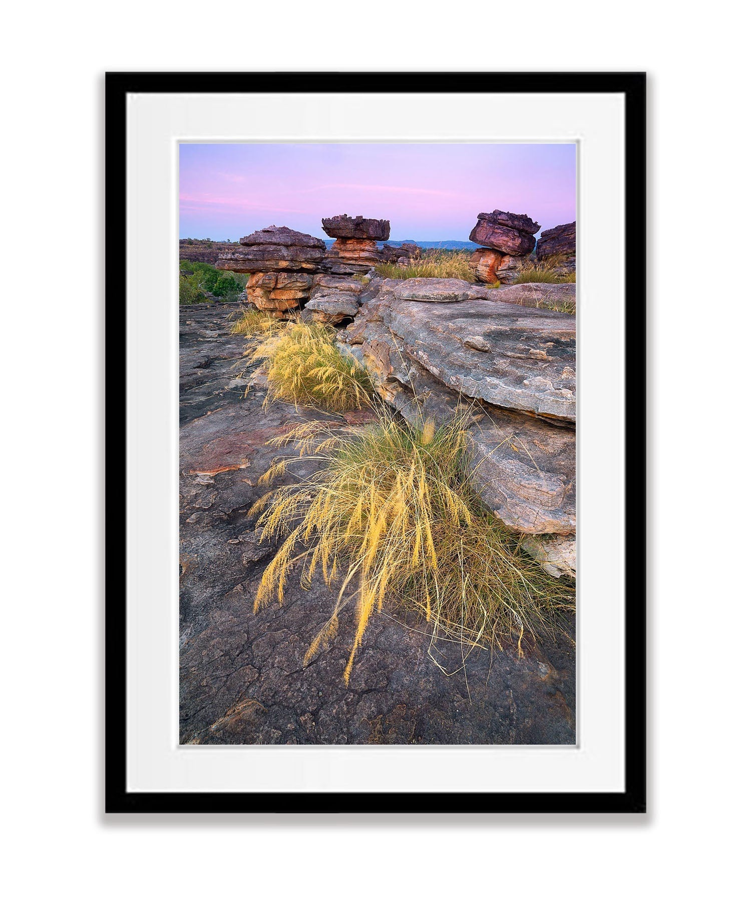 Native Grasses, Ubir Rock, Kakadu, Arnhem Land, Northern Territory