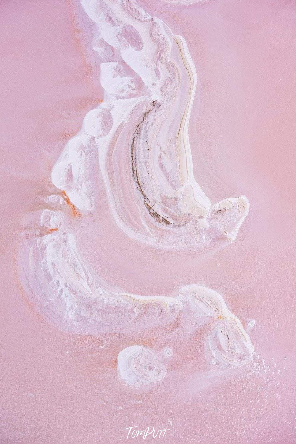 A white womb texture on a lite pink surface, Nature's Womb