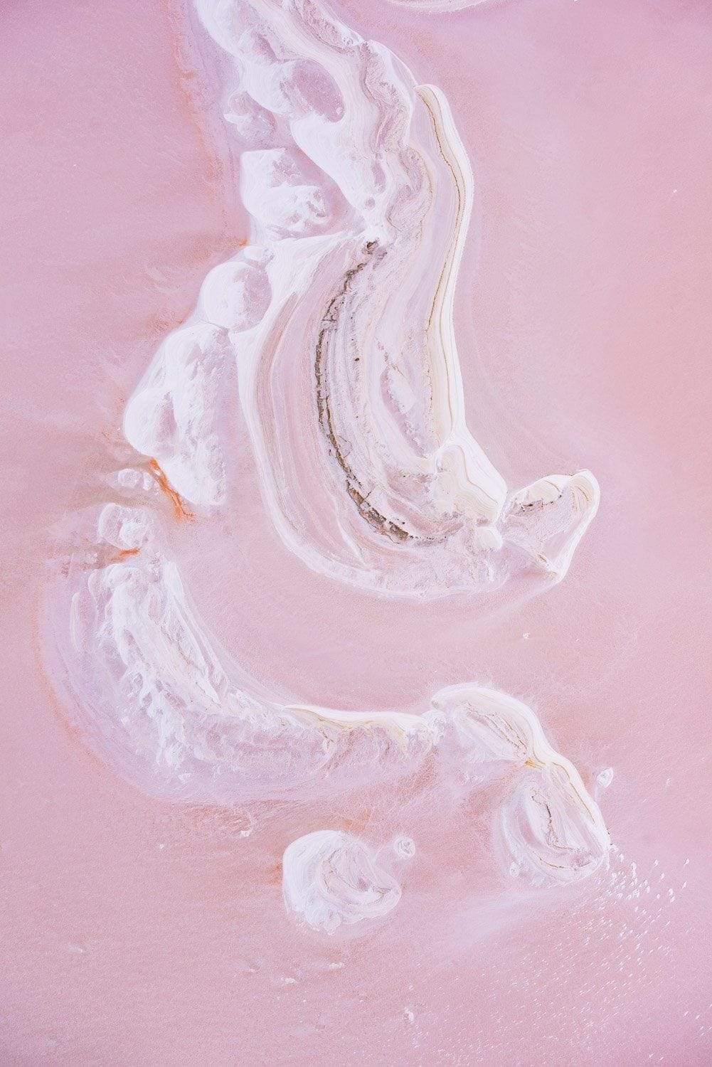A white womb texture on a lite pink surface, Nature's Womb