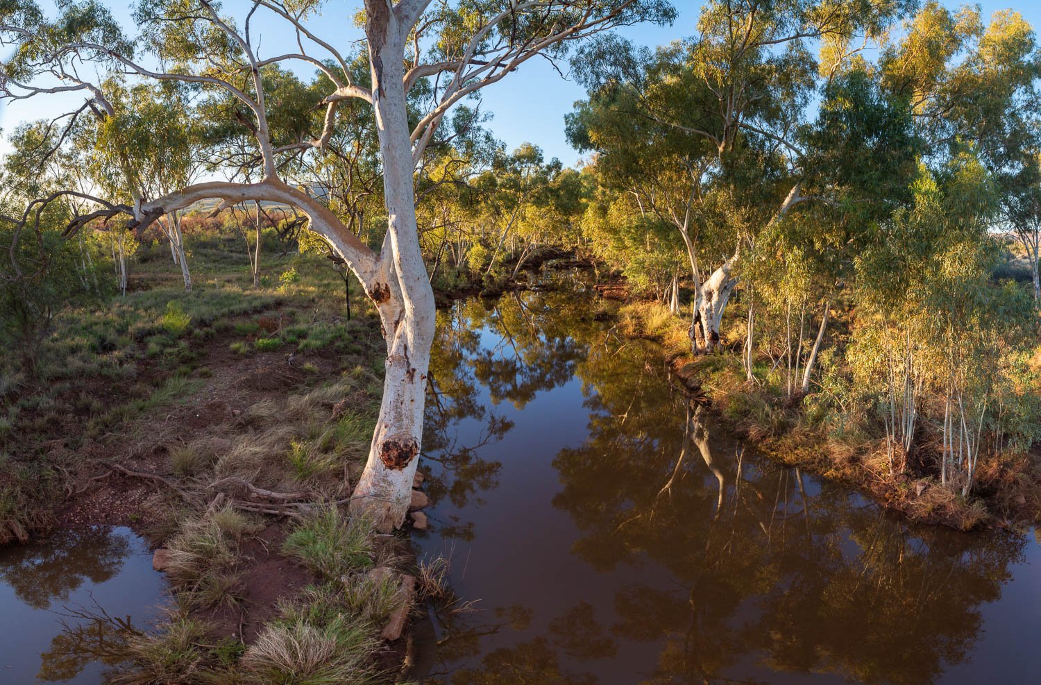Outback Dawn, Bellary Creek, The Pilbara