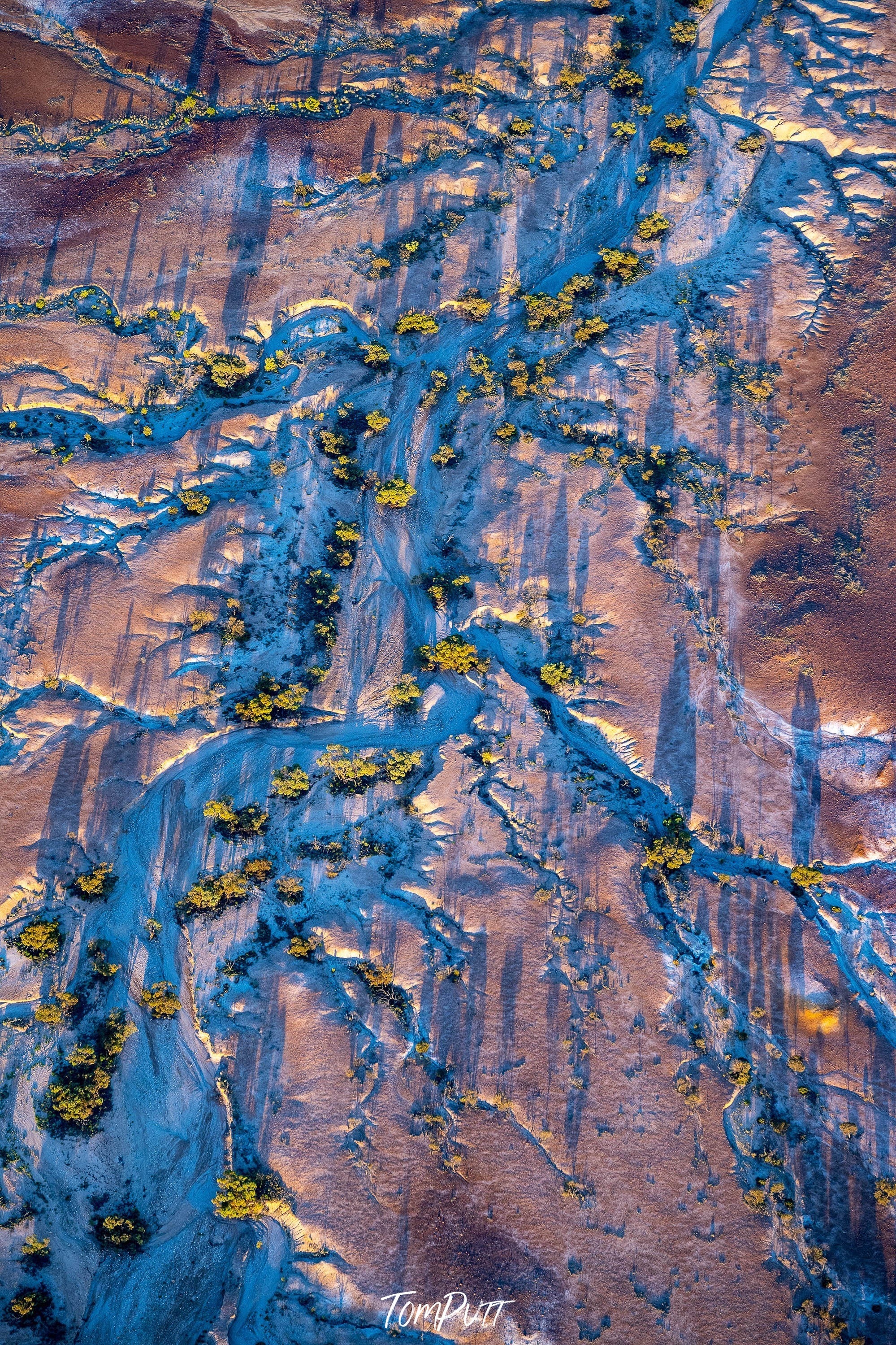 Painted Hills No.1