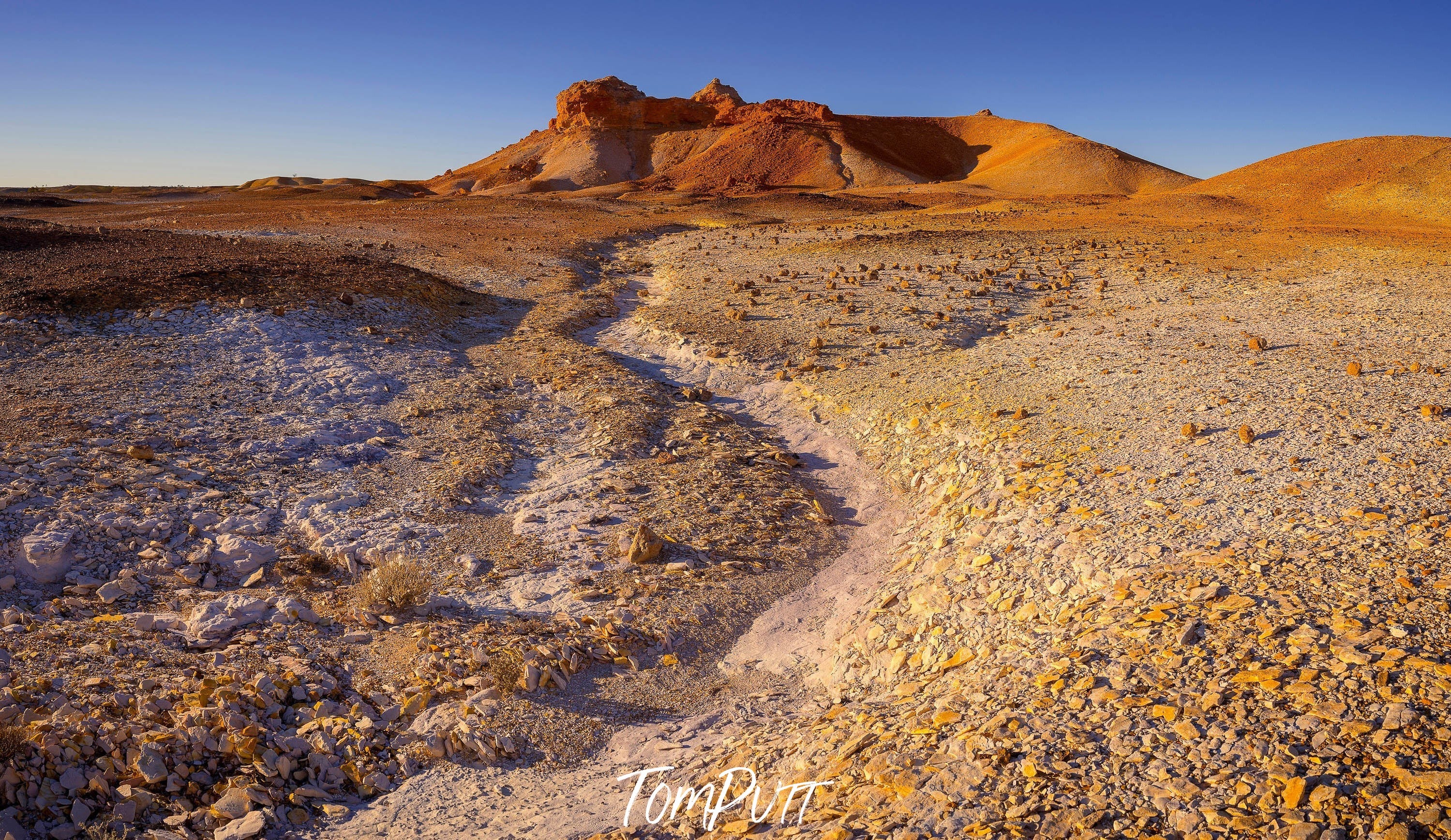 Painted Hills No.4
