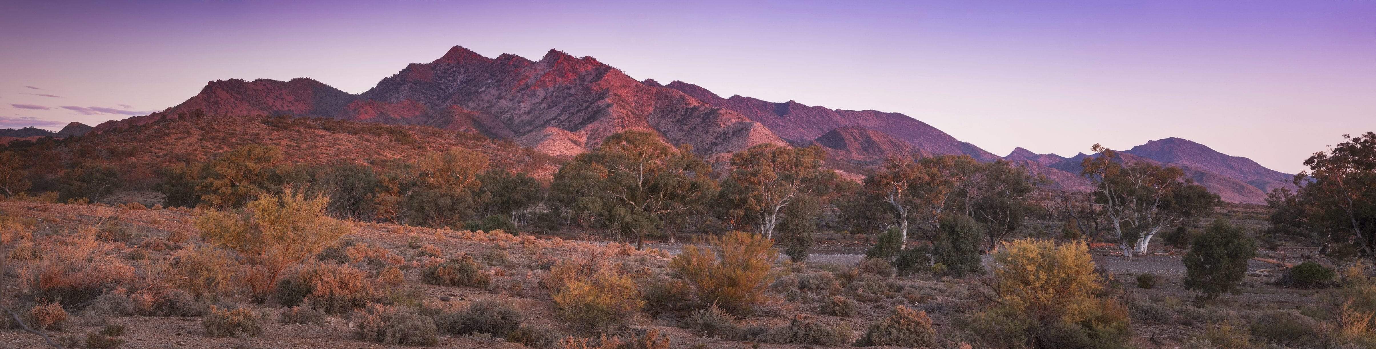 A long mountain wall of dark brown color, with small plants below, Parachilna Range - Flinders Ranges SA