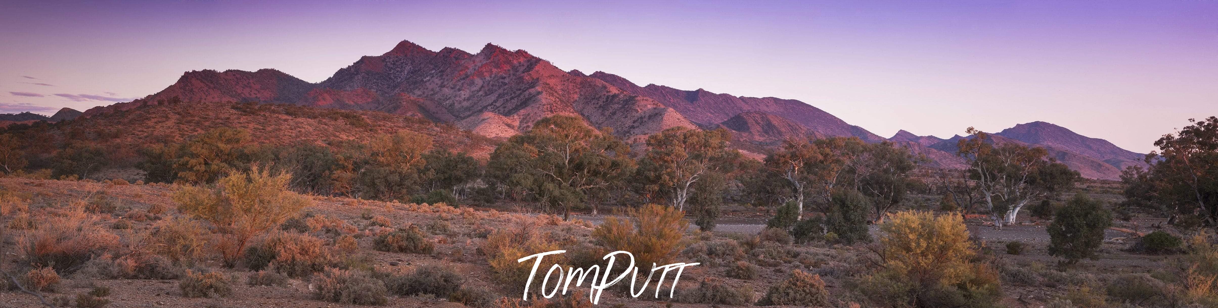 A long mountain wall of dark brown color, with small plants below, Parachilna Range - Flinders Ranges SA