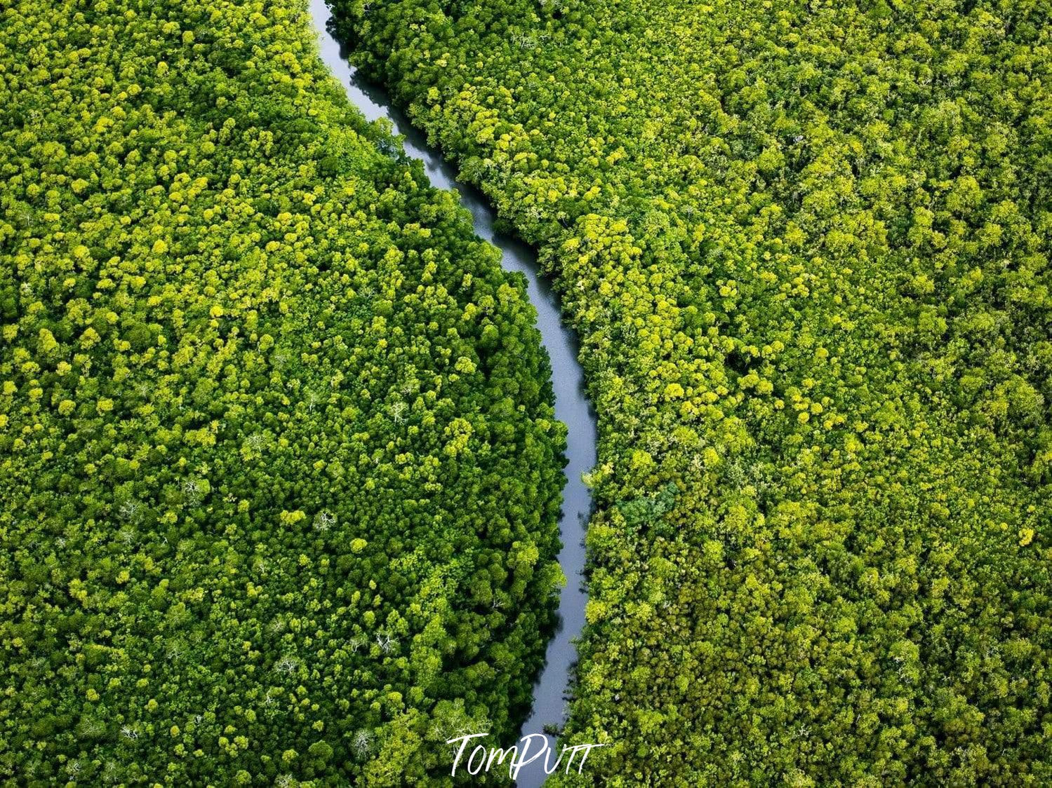 Aerial view of a greenery land with a curvy line of water in between, Pathway Home