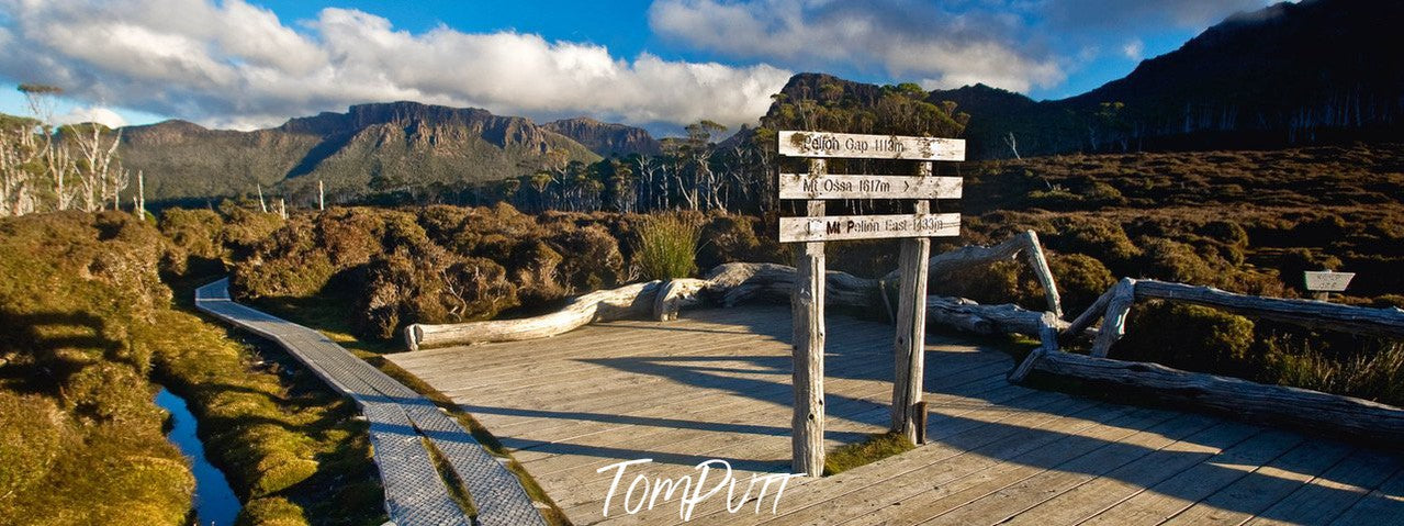 A woody track with address board on it, green mountainy area in the background, Cradle Mountain #7, Tasmania