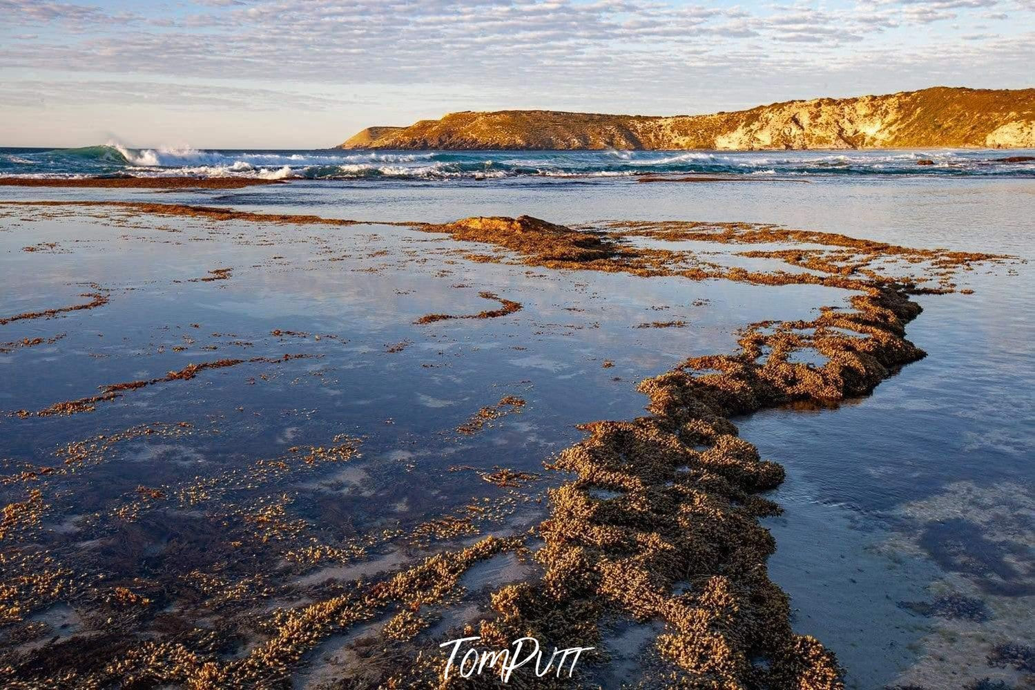 A seashore with a rocky thin track, Pennington Bay - Kangaroo Island SA