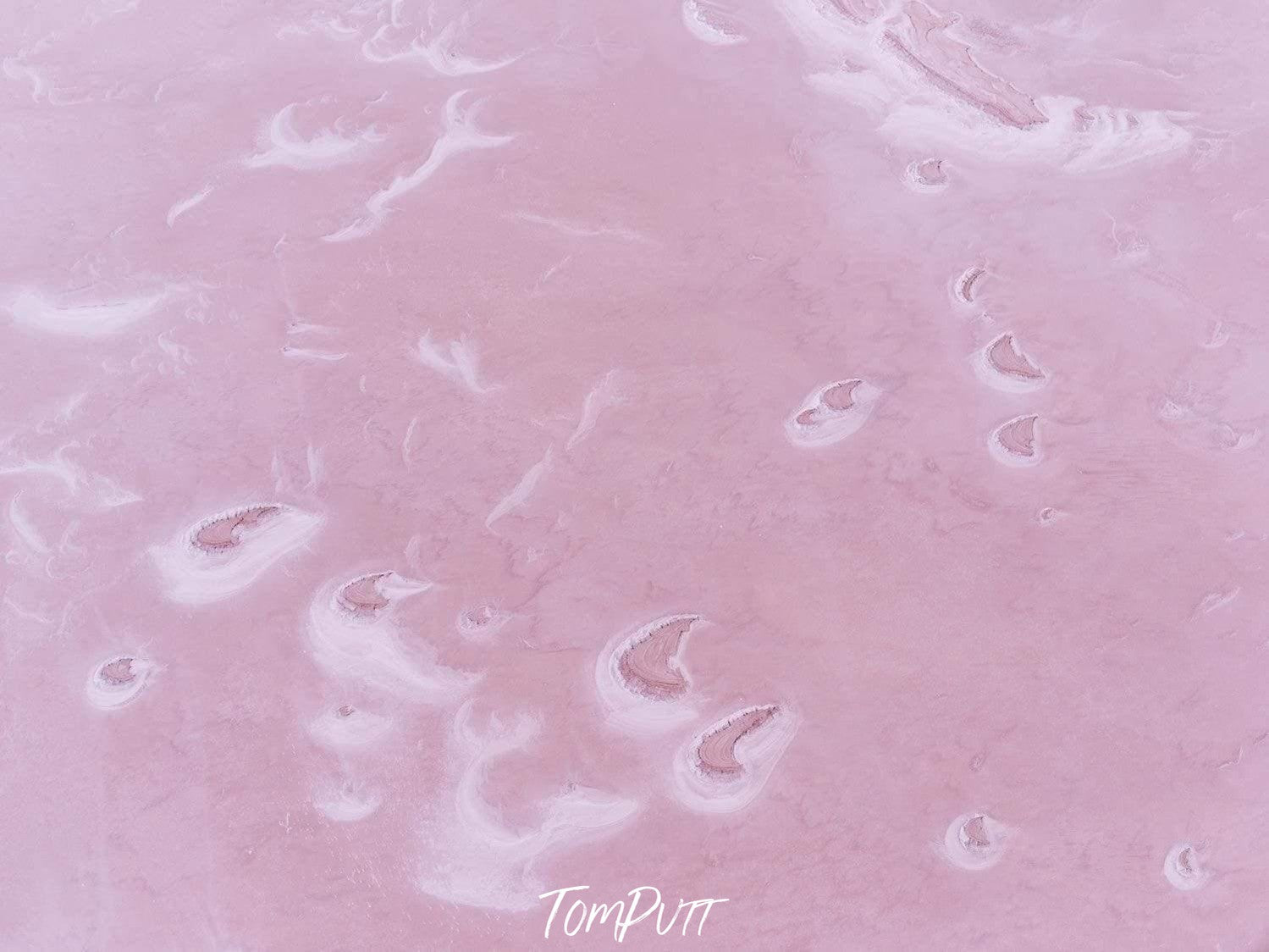 Pink Moons-Tom-Putt-Landscape-Prints