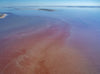 Pink Patterns, Madigan Gulf, Kati Thanda-Lake Eyre