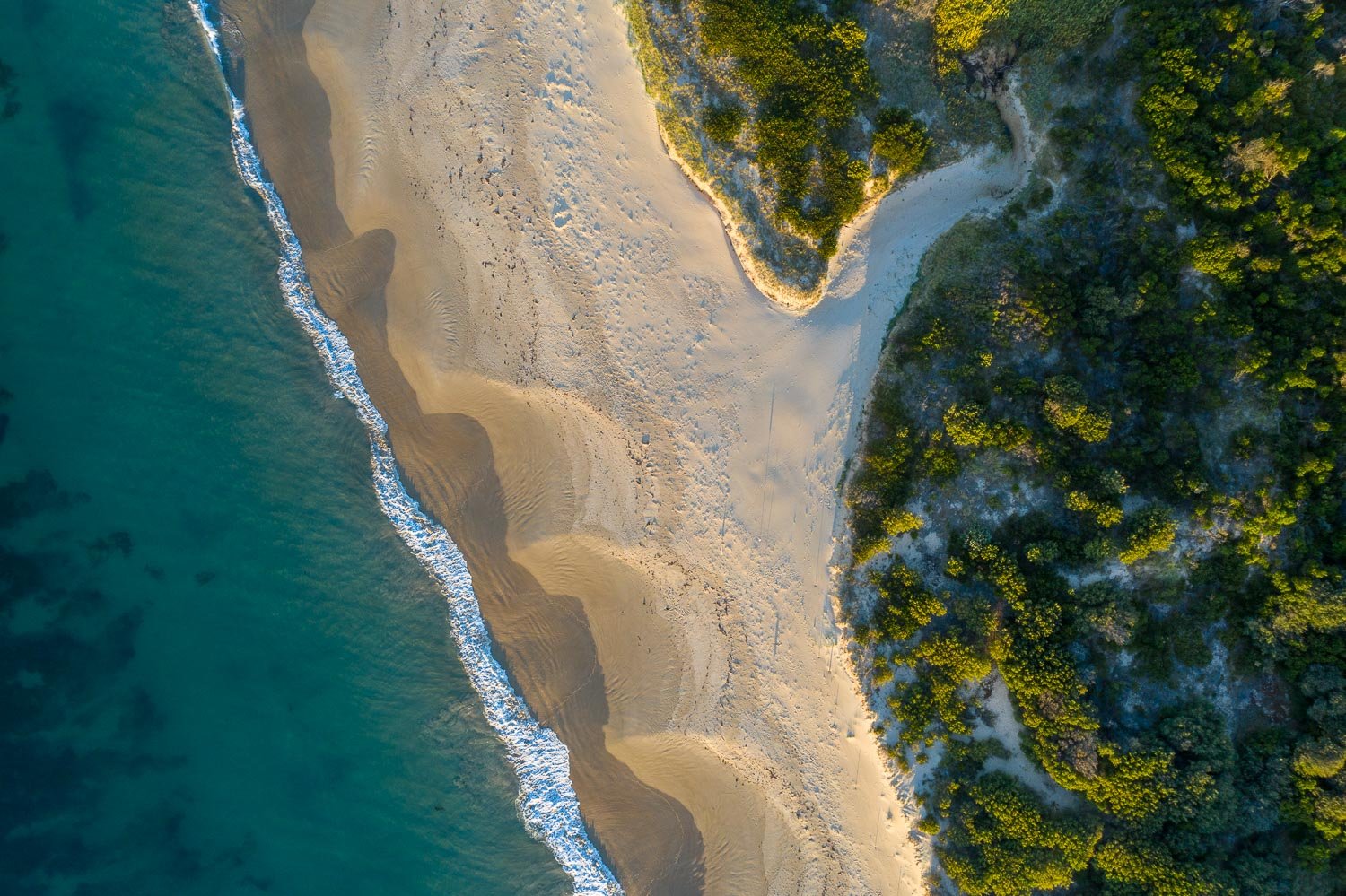 Aerial view of a seashore with massive green trees behind, Point Leo Beach from above - Mornington Peninsula VIC