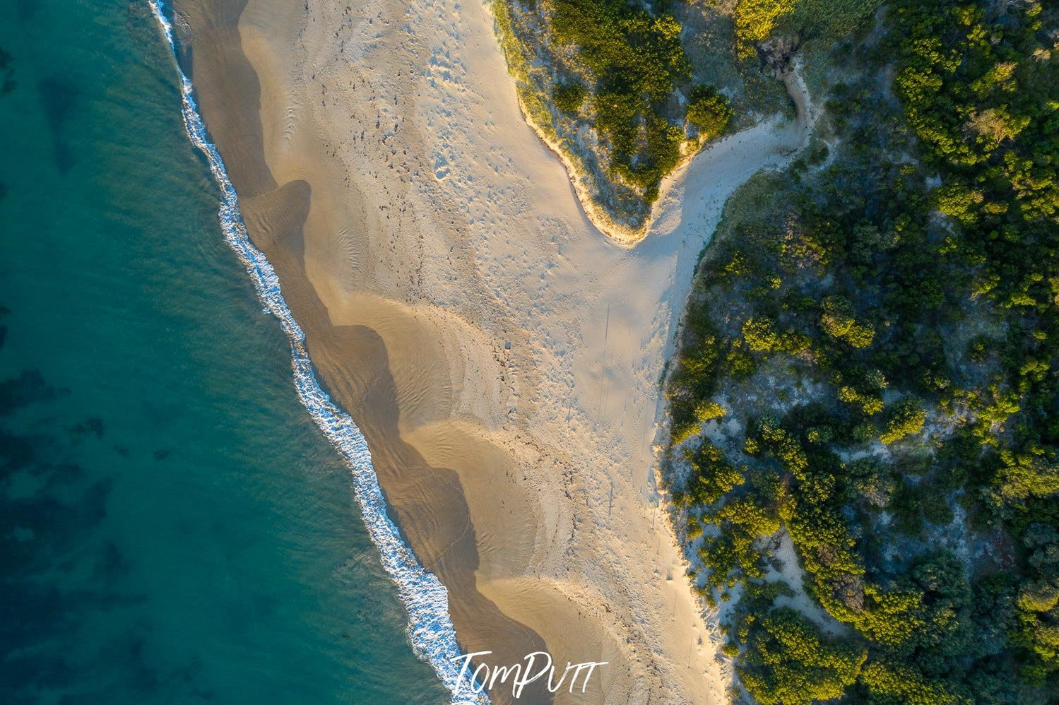 Aerial view of a seashore with massive green trees behind, Point Leo Beach from above - Mornington Peninsula VIC