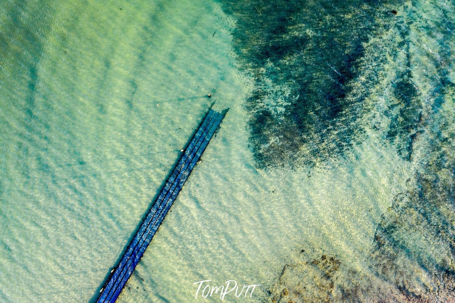 Aerial view of green lake with a lot of greenery underwater, Point Leo Boat Ramp from above - Mornington Peninsula VIC