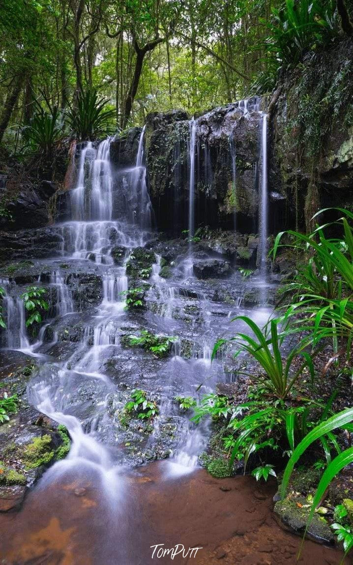 Nested waterfall from a green hill point in a small lake, Poojabinya Falls - Lamington National Park QLD