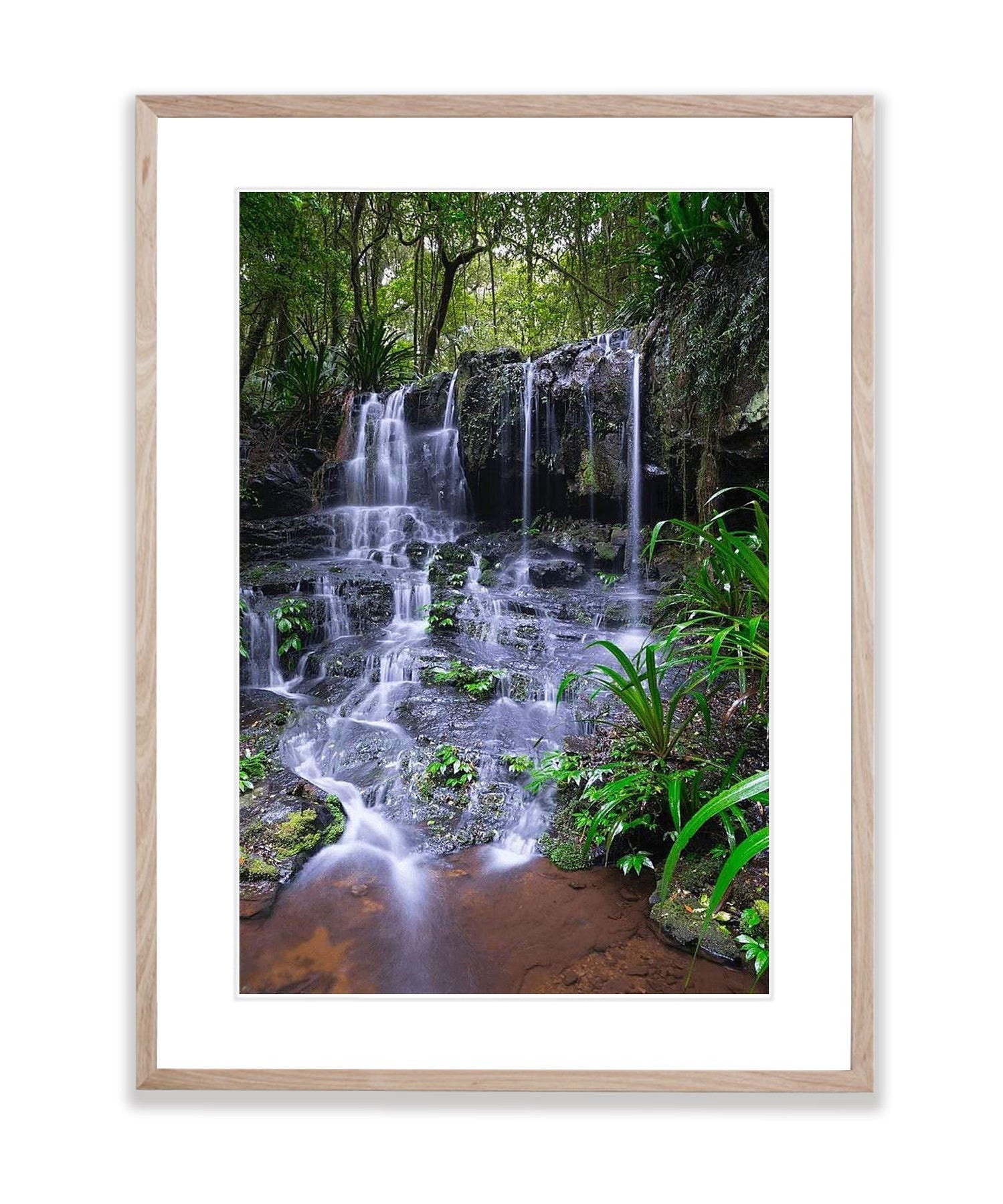 Poojabinya Falls - Lamington National Park QLD