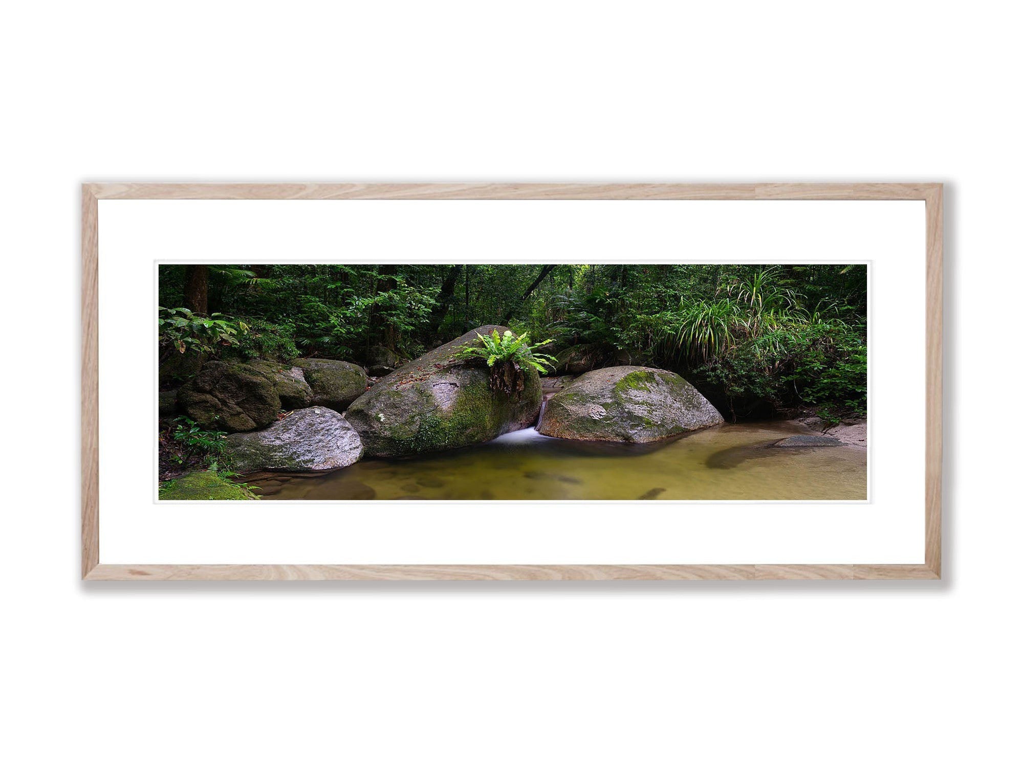 Pool of Tranquility, The Daintree, Far North Queensland