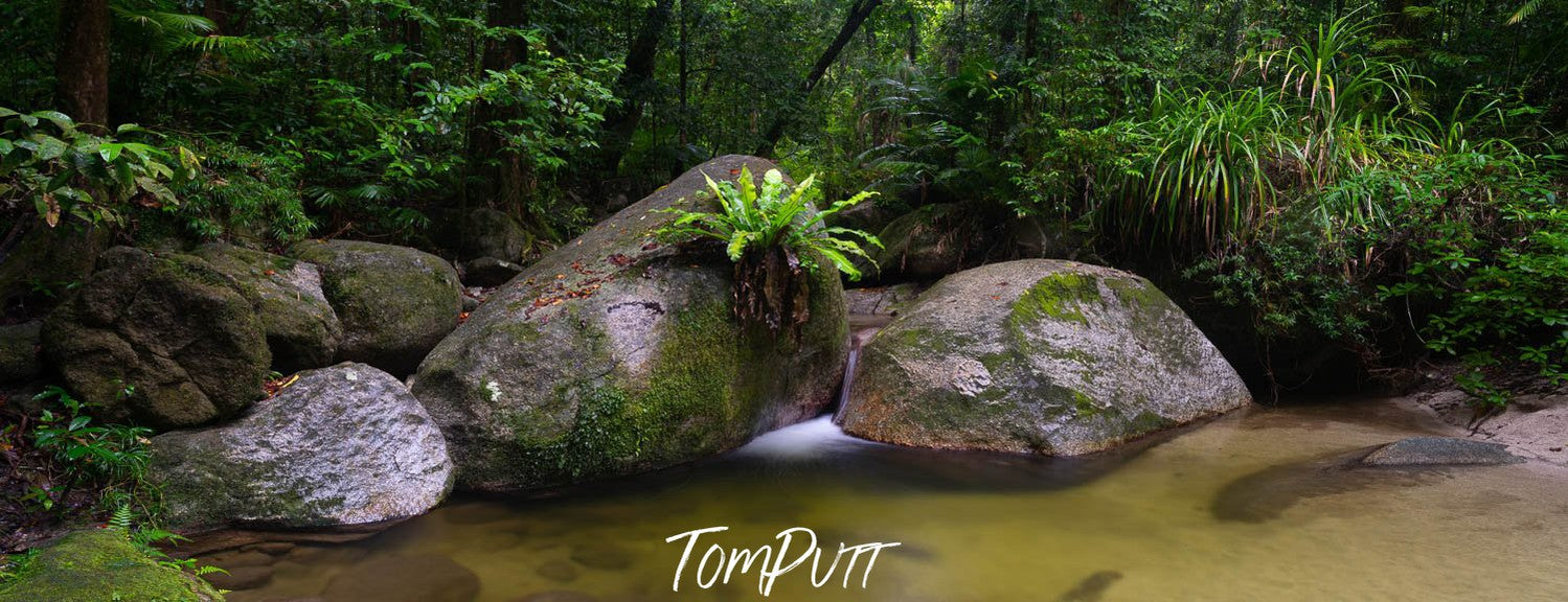 Large boulders in a corner of a watercourse with some trees behind, Pool of Tranquility, The Daintree, Far North Queensland