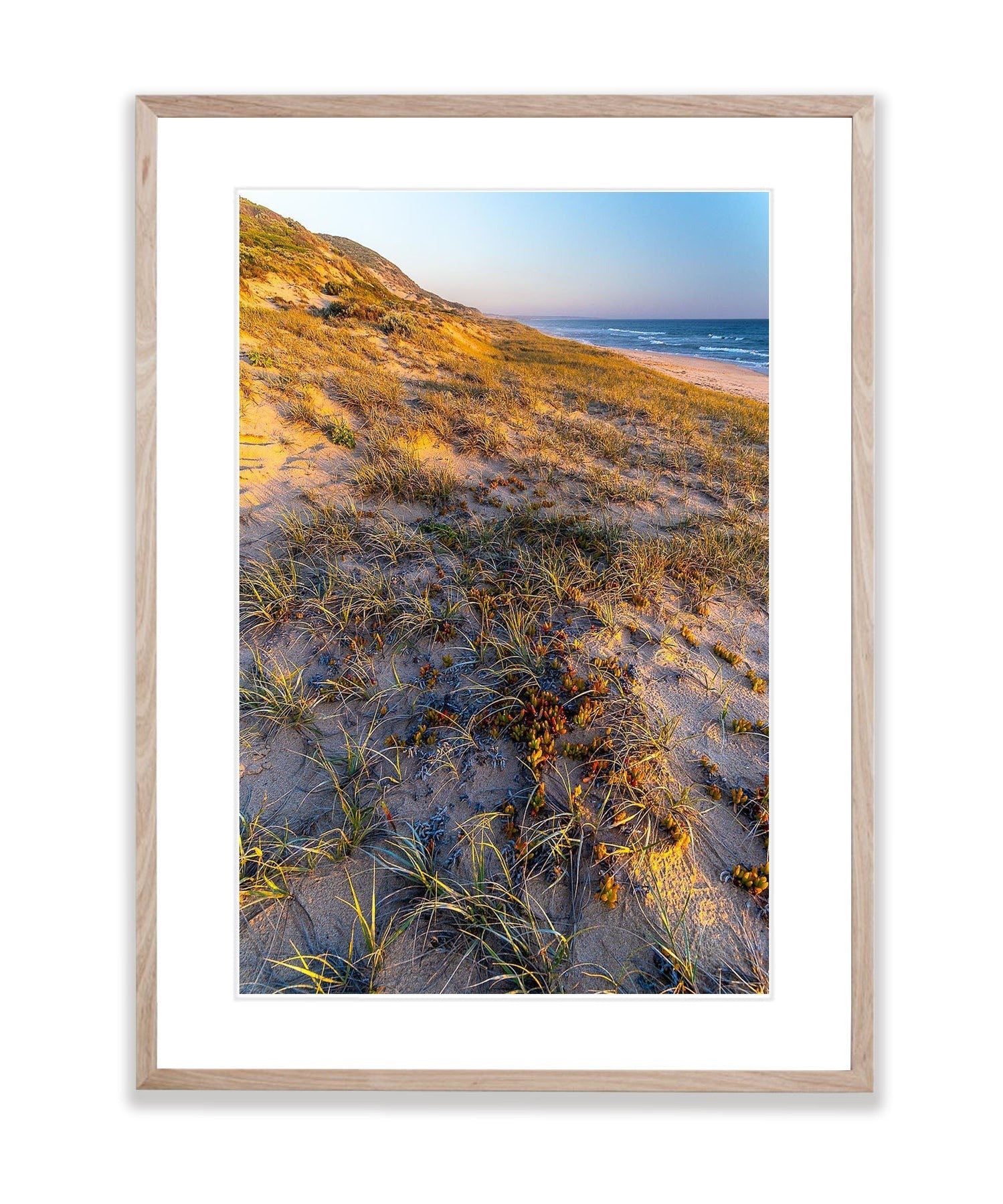 Portsea Fore Dune, Mornington Peninsula, VIC