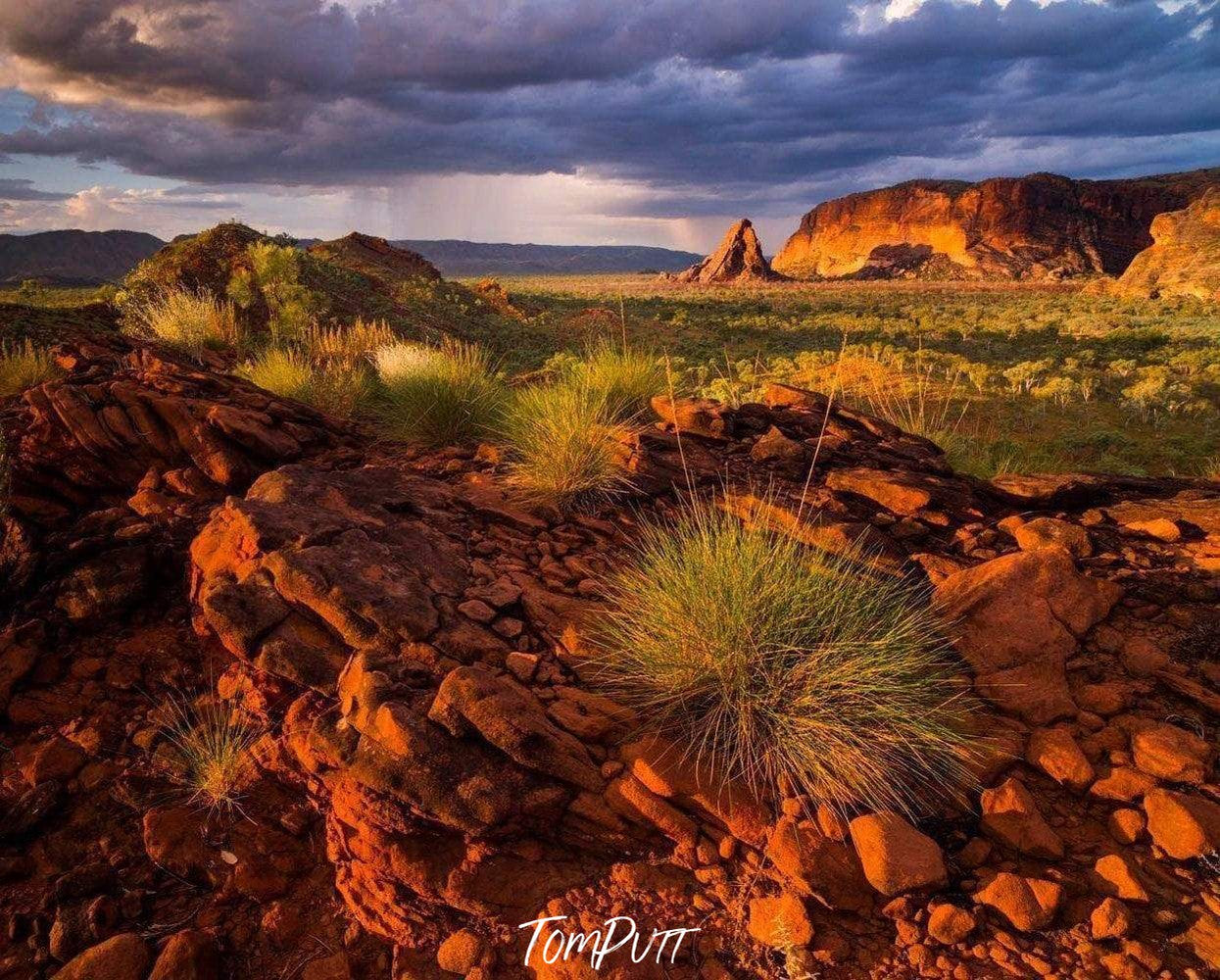 Bushes in the stones, with a greenfield and along mountain wall behind, Purnululu Sunset, The Kimberley, Western Australia