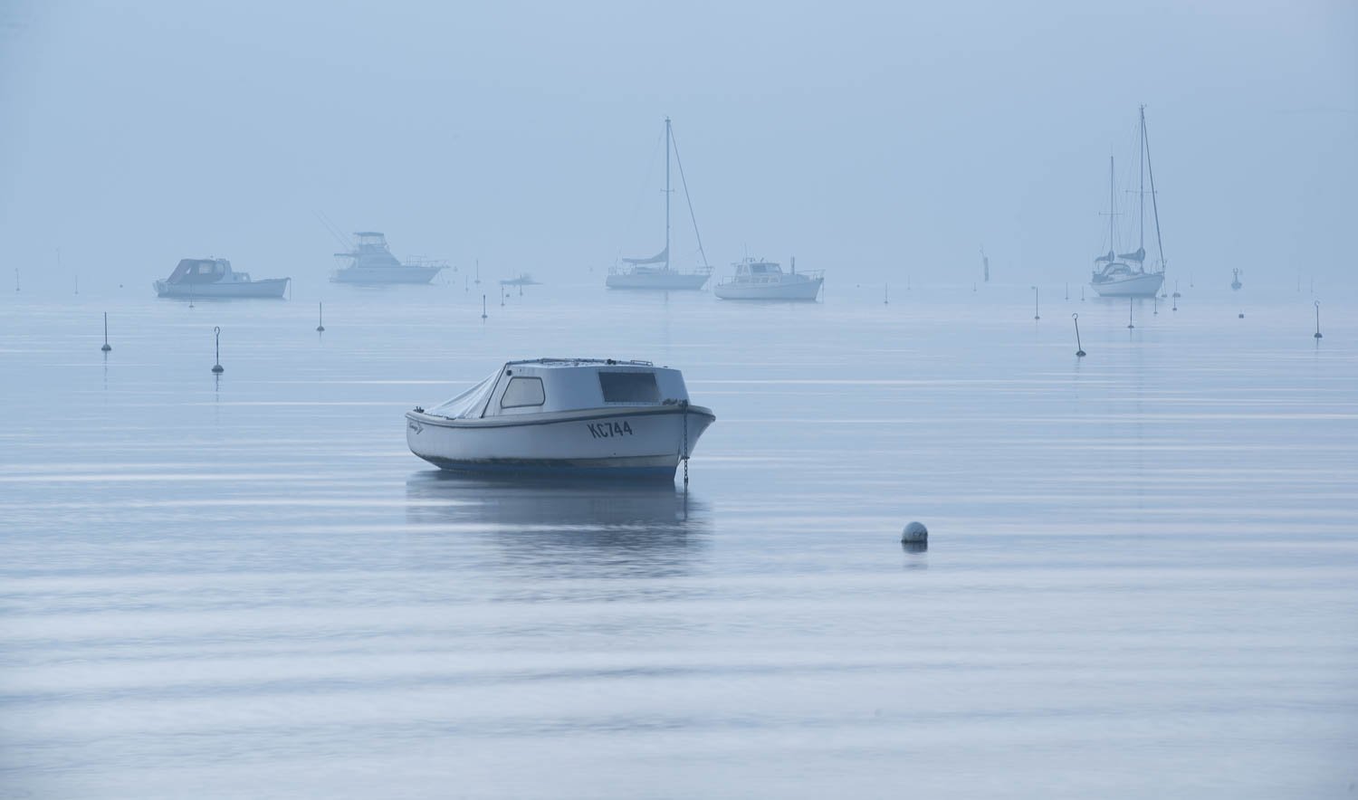 Calm view of a boat floating over a sea, Quiet Morning, Sorrento - Mornington Peninsula