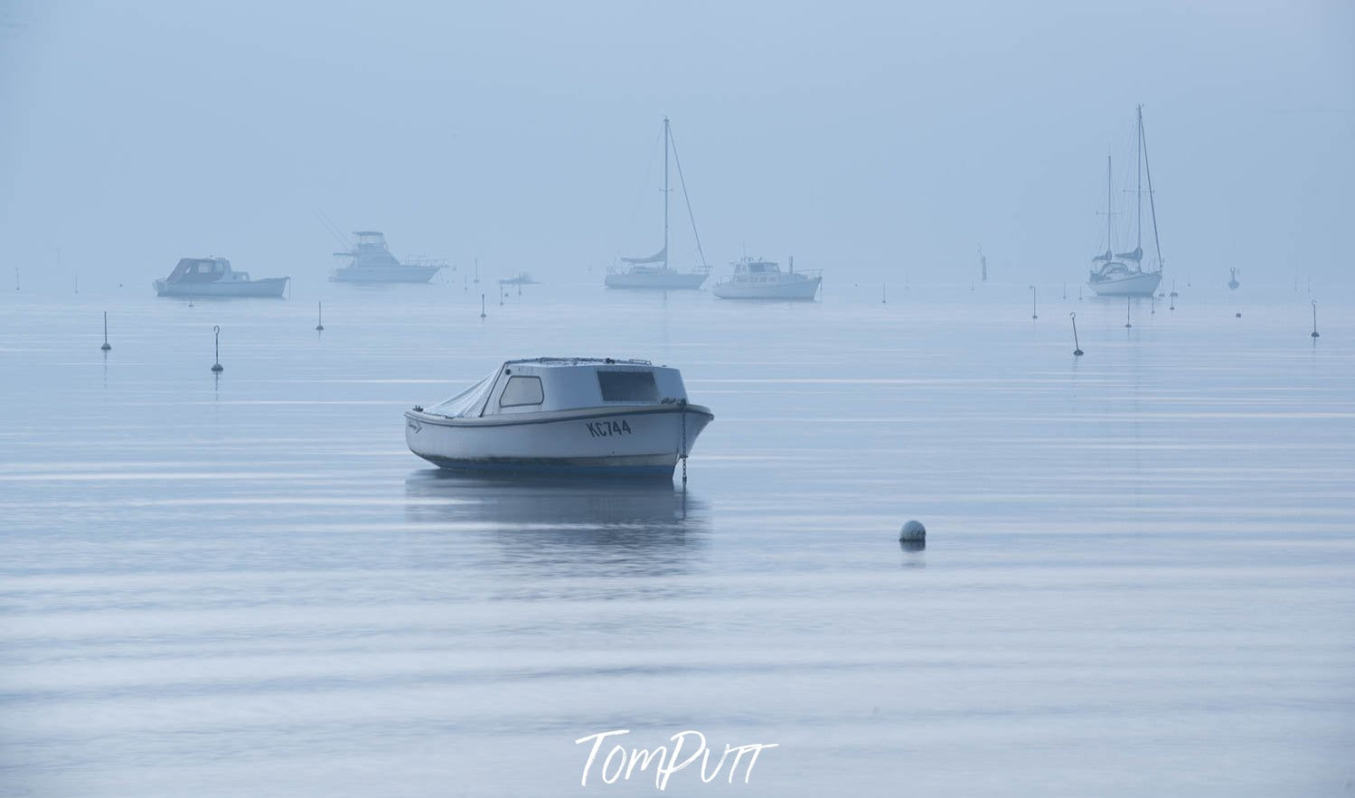 Calm view of a boat floating over a sea, Quiet Morning, Sorrento - Mornington Peninsula