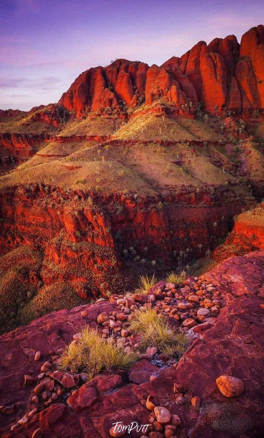 A long brownish mountain wall with some purplish flowers and plants ahead, Ragged Pebbles, Ragged Range, The Kimberley, Western Australia