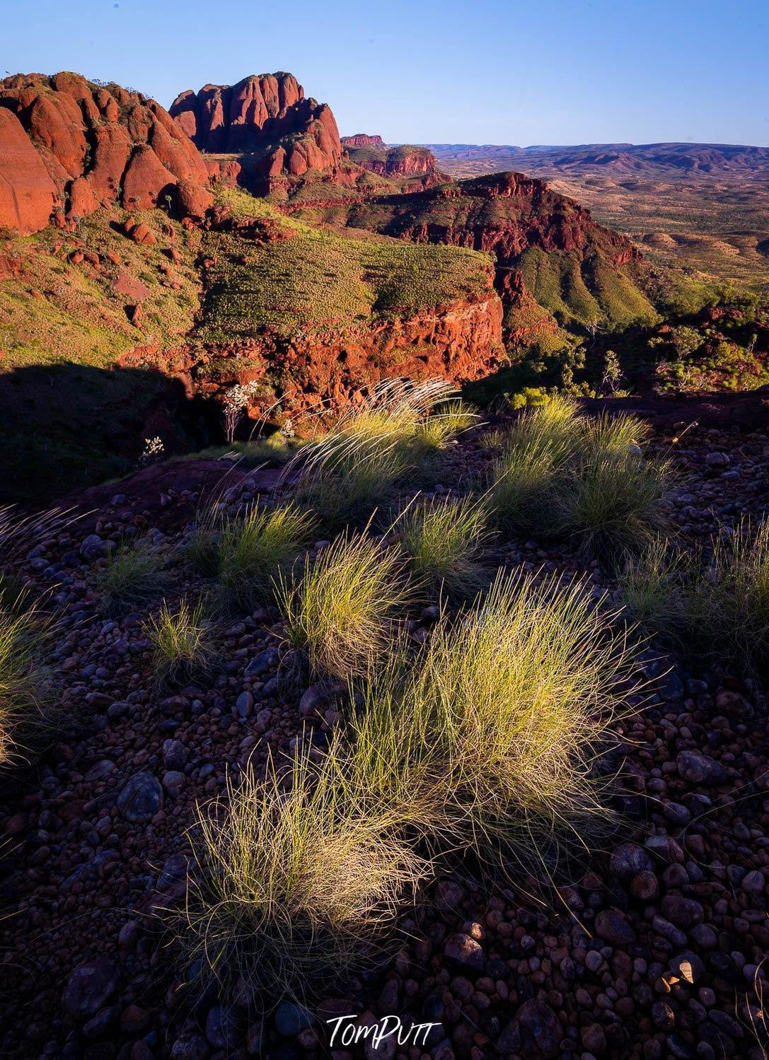 Bushes and plants under the shadow, and a huge mountain sequence behind, Ragged Range #13, The Kimberley, Western Australia
