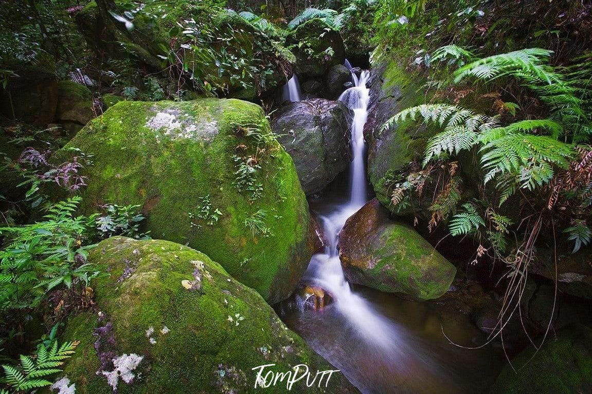 Waterfall from rocky mounds in a small lake, Rainforest Solice - Blue Mountains NSW