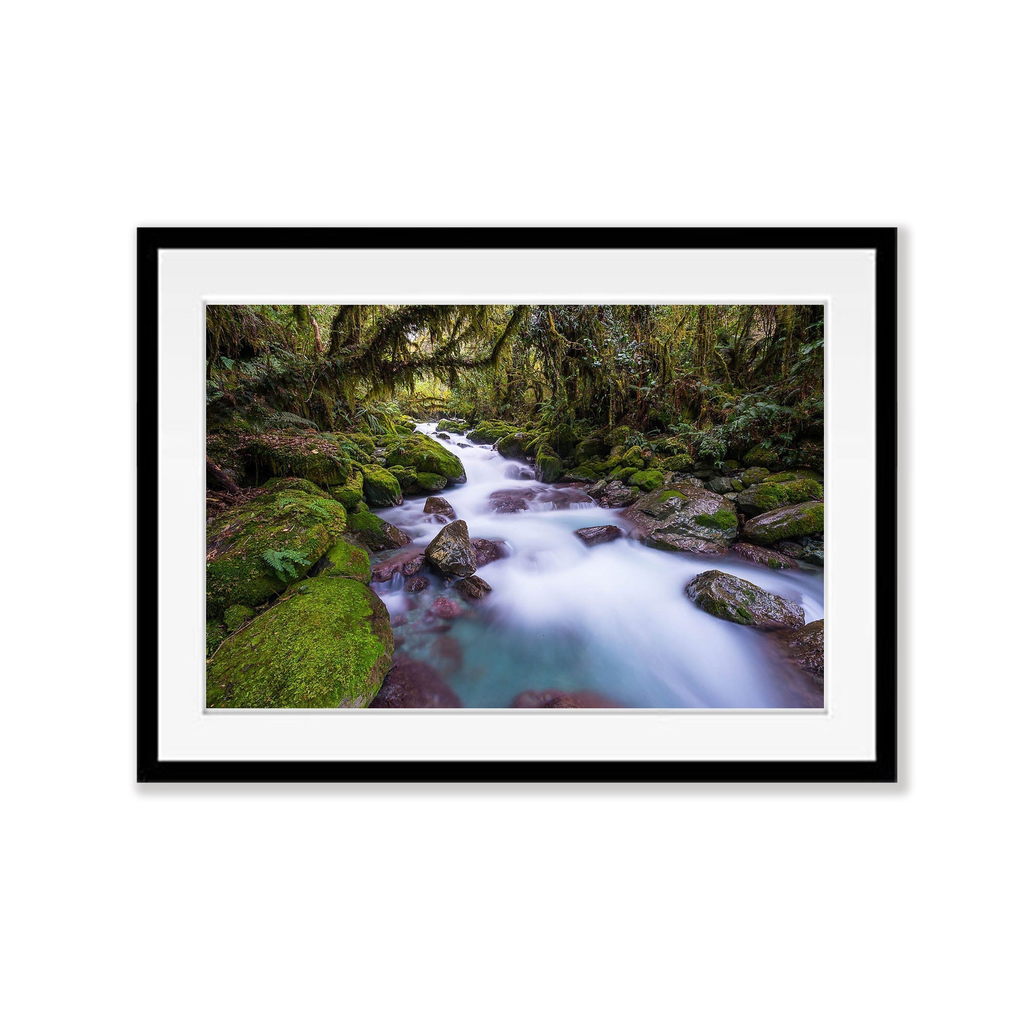 Rainforest Stream, Hollyford Valley, South Island, New Zealand