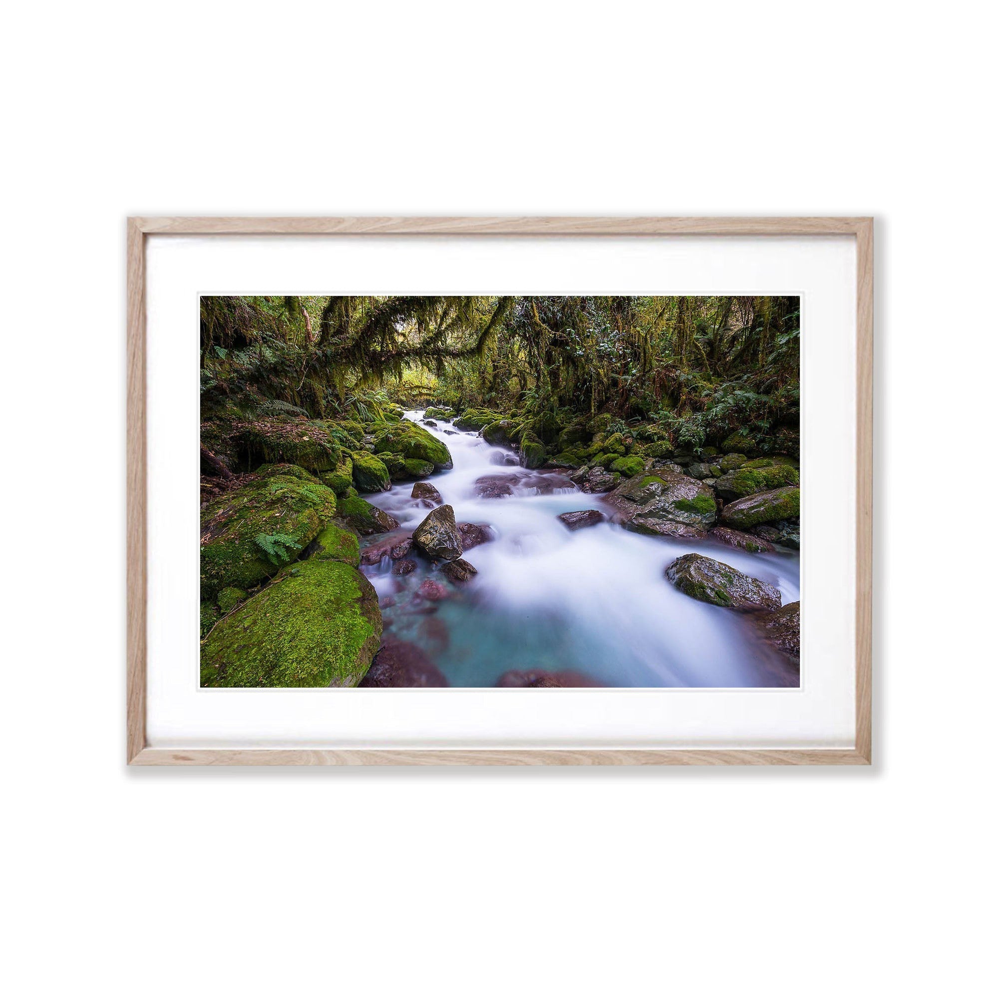 Rainforest Stream, Hollyford Valley, South Island, New Zealand