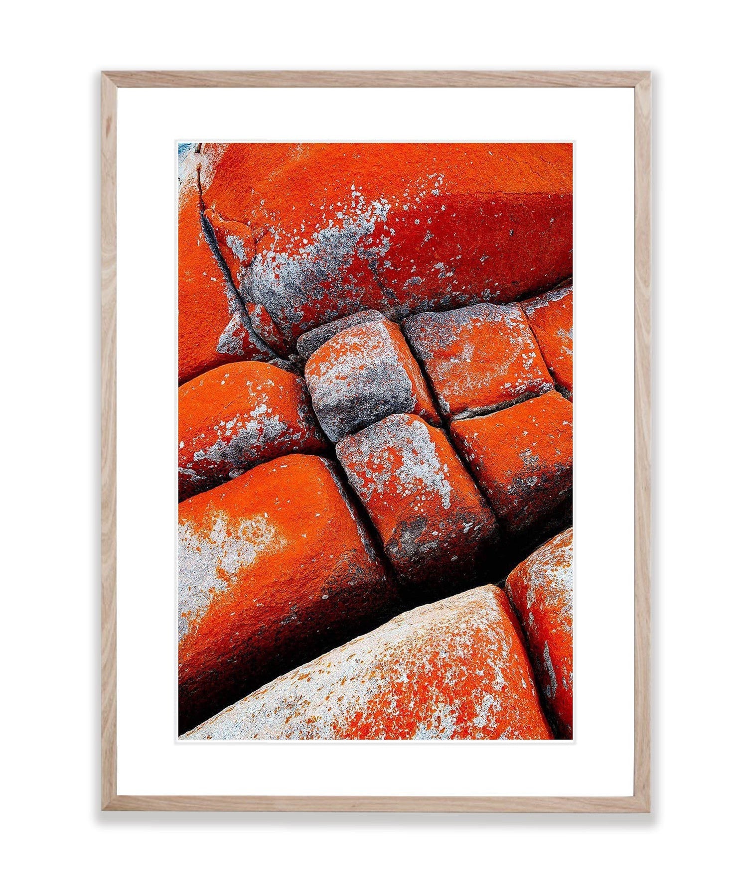 Red Lichen on rock, Bay of Fires