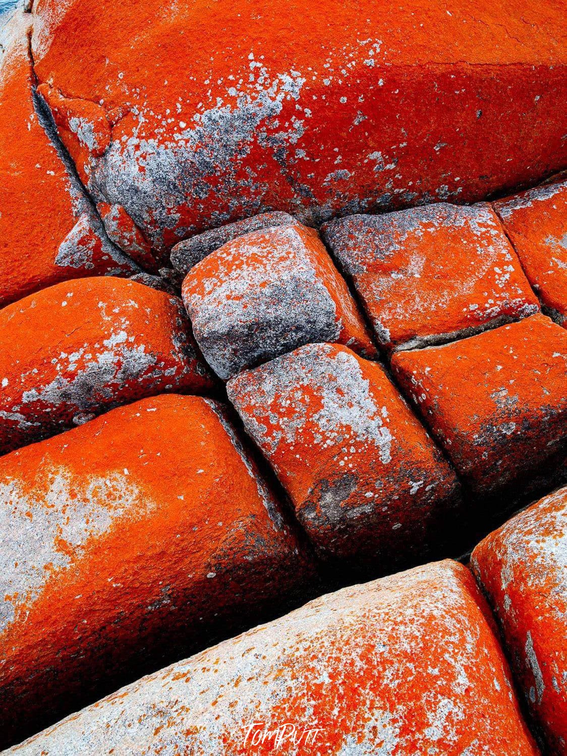 Large salty red stones, Red Lichen on rock, Bay of Fires