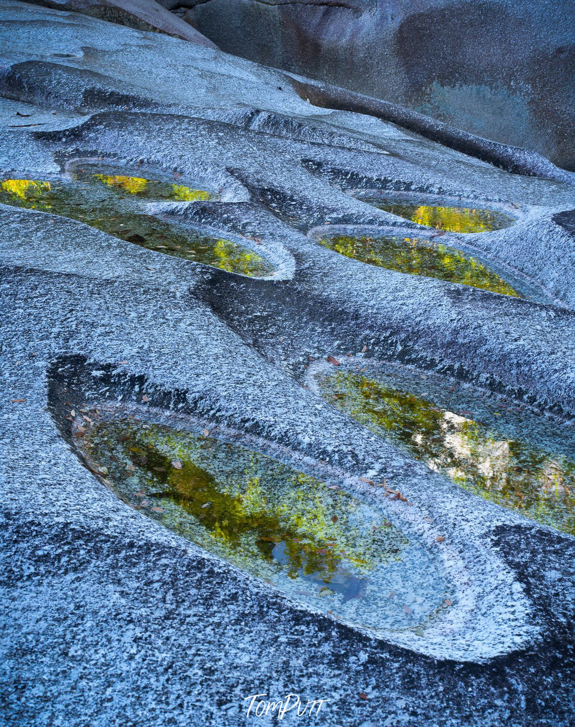 A crystalline sand surface with small hollows containing some grass, Reflections off Rock Pools, Babinda, Far North Queensland