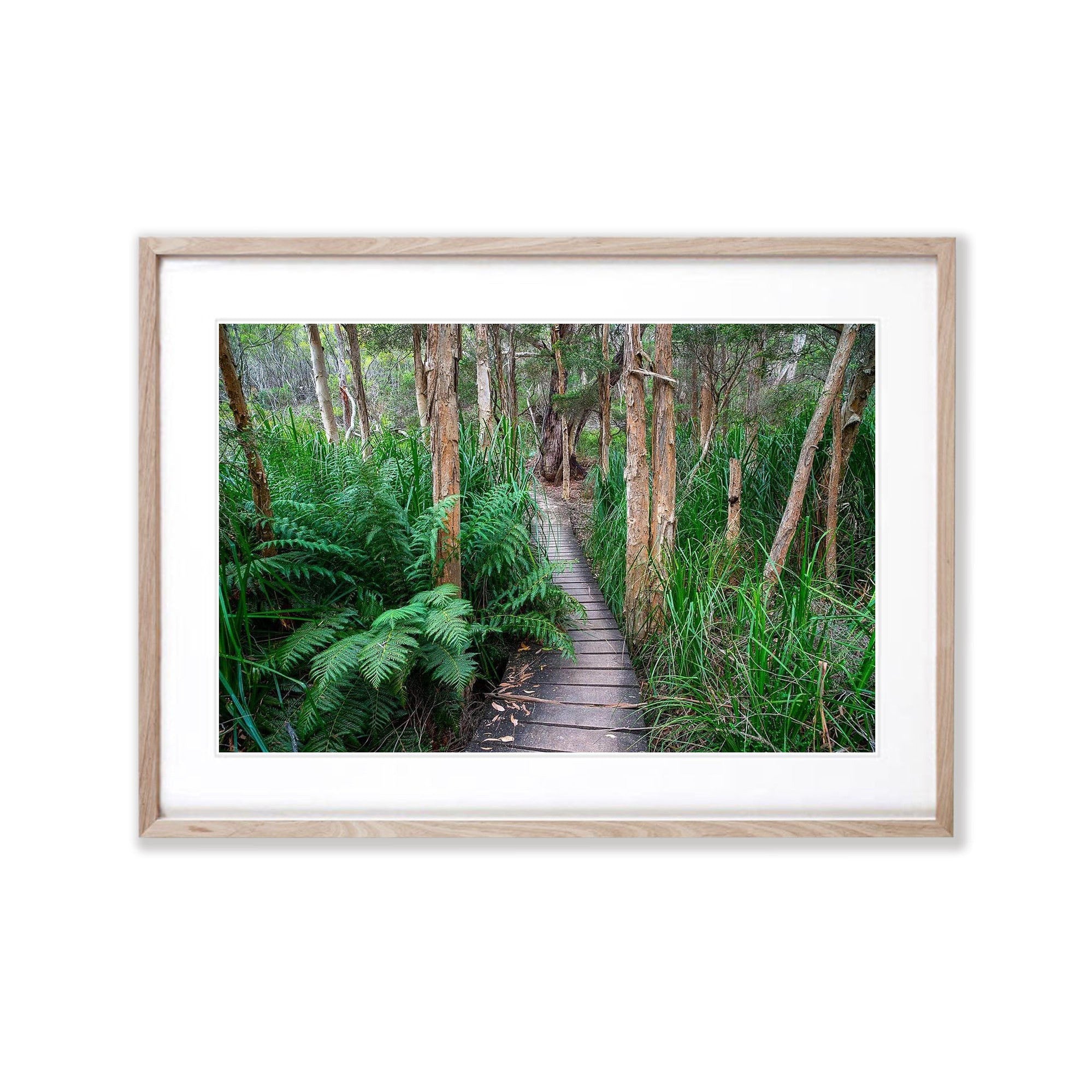 Refuge Track - Wilson's Promontory VIC