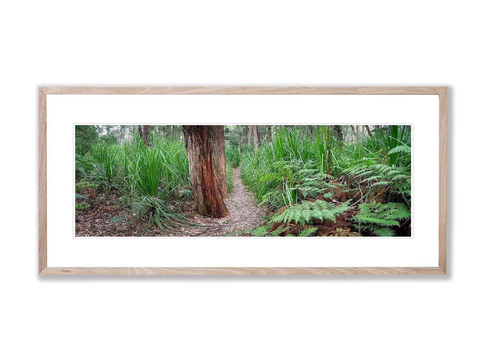 Refuge Walkway - Wilson's Promontory VIC