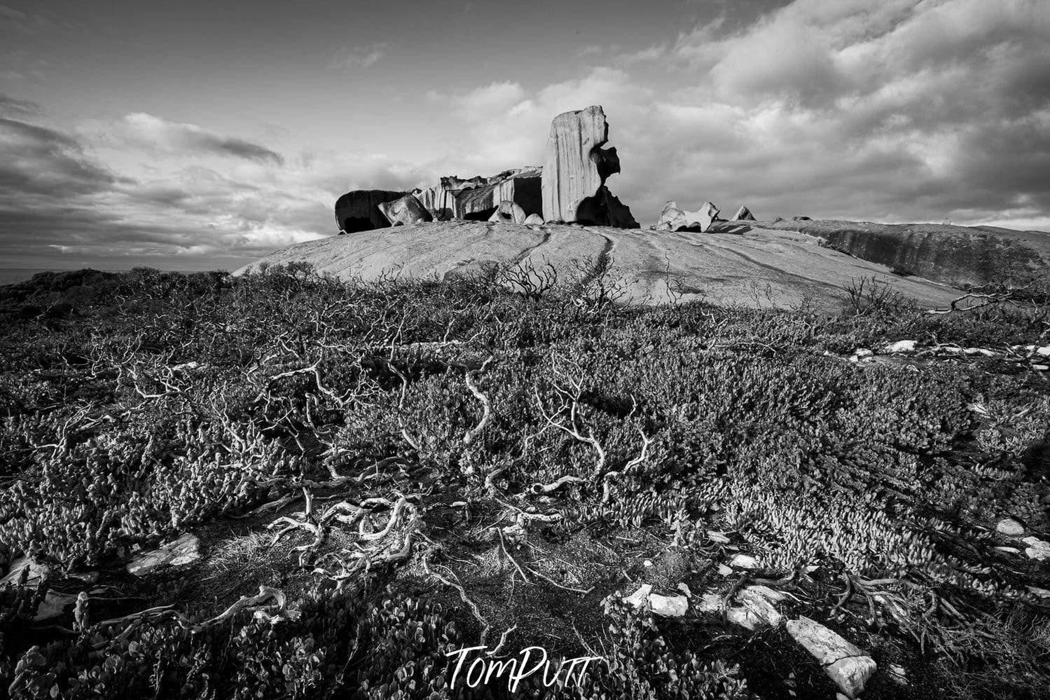 Wild green grass on the ground with a rocky mound behind, Remarkable Rocks #20 - Kangaroo Island SA