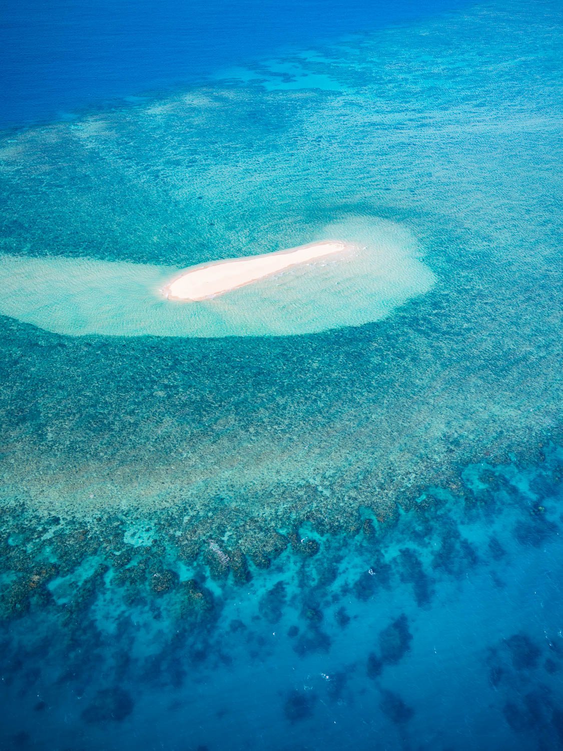 Aerial view of the large sea with greenery underwater, Remote Sandy Cay, Far North Queensland
