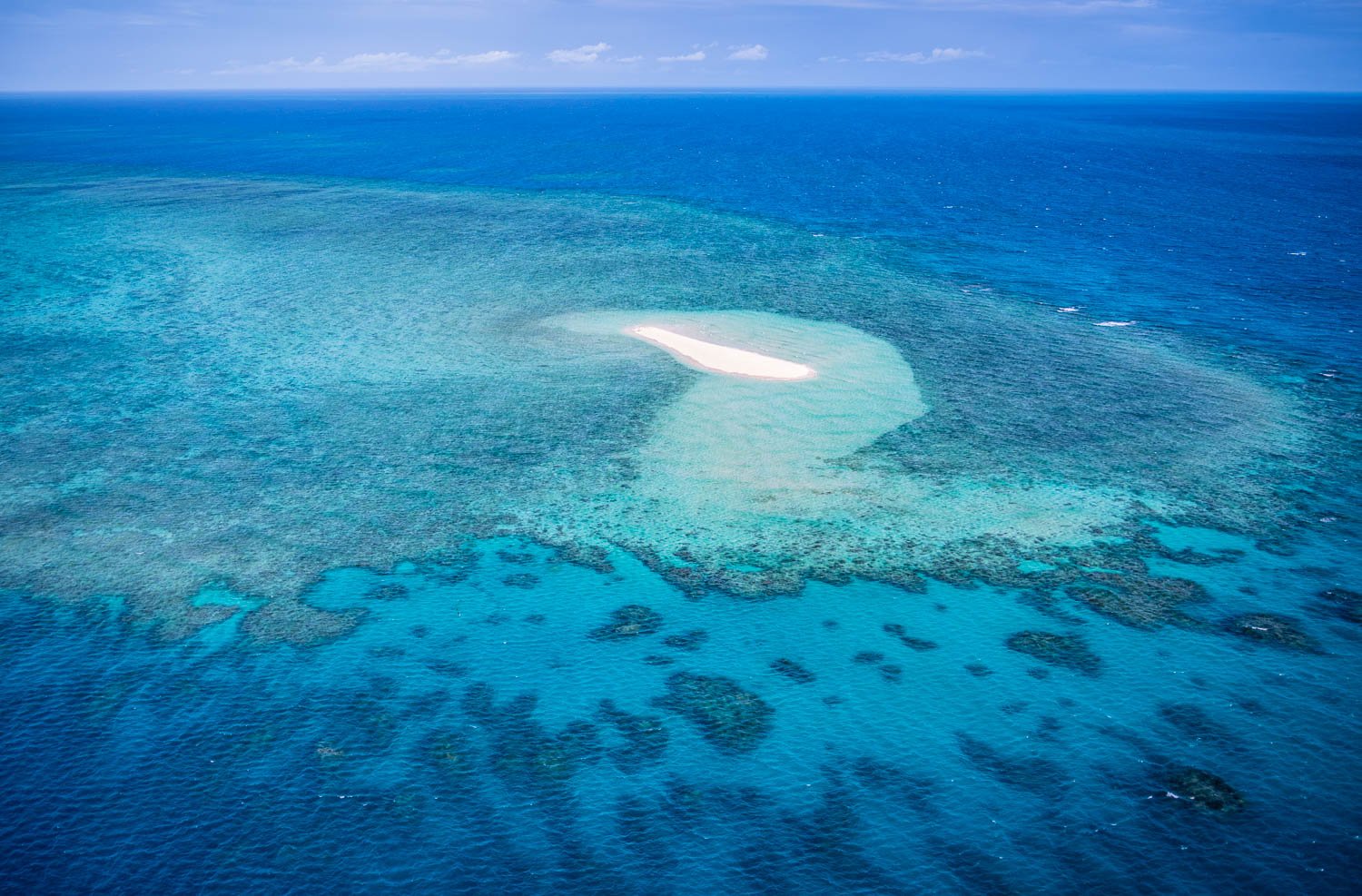 Aerial view of the large sea with greenery underwater, Remote Sandy Cay on the Great Barrier Reef, Far North Queensland