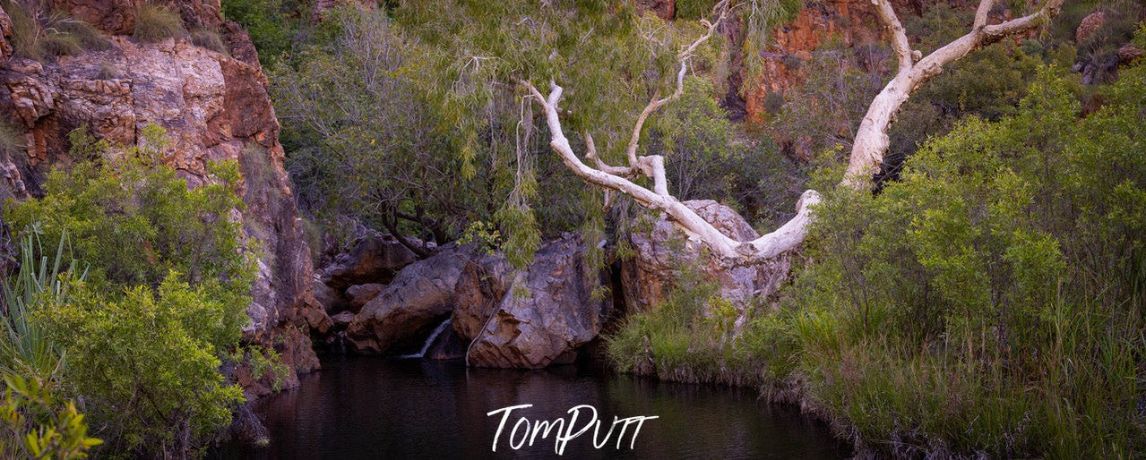 Revolver Springs, The Kimberley