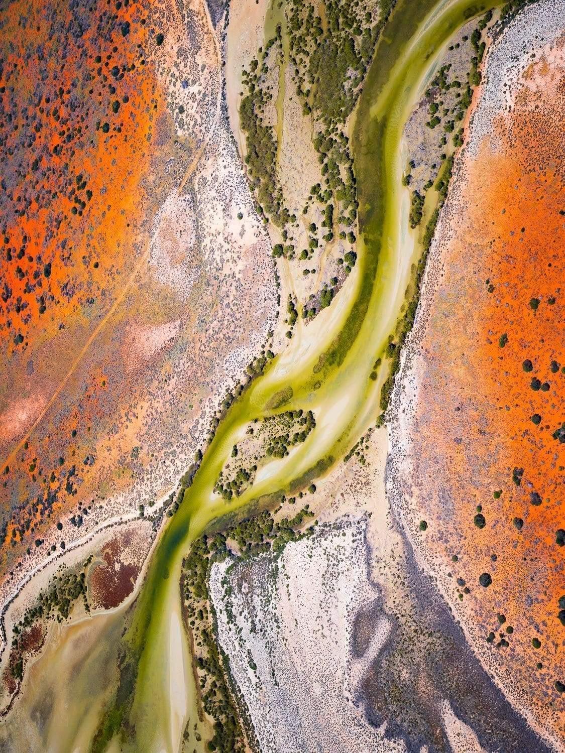 Aerial view of orange-colored land with thick green curvy lines, Ribbons of Green Lake Art