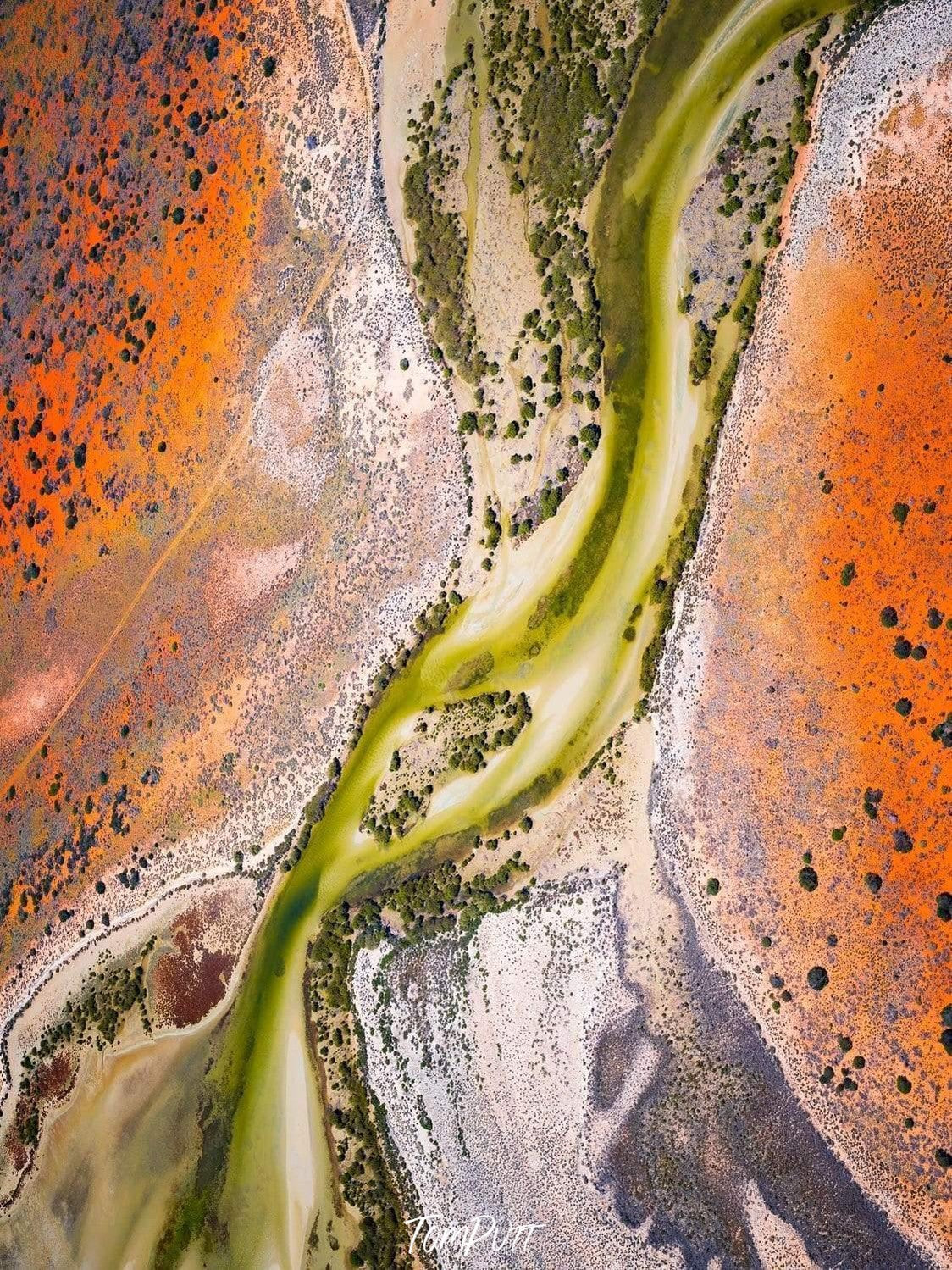 Aerial view of orange-colored land with thick green curvy lines, Ribbons of Green Lake Art