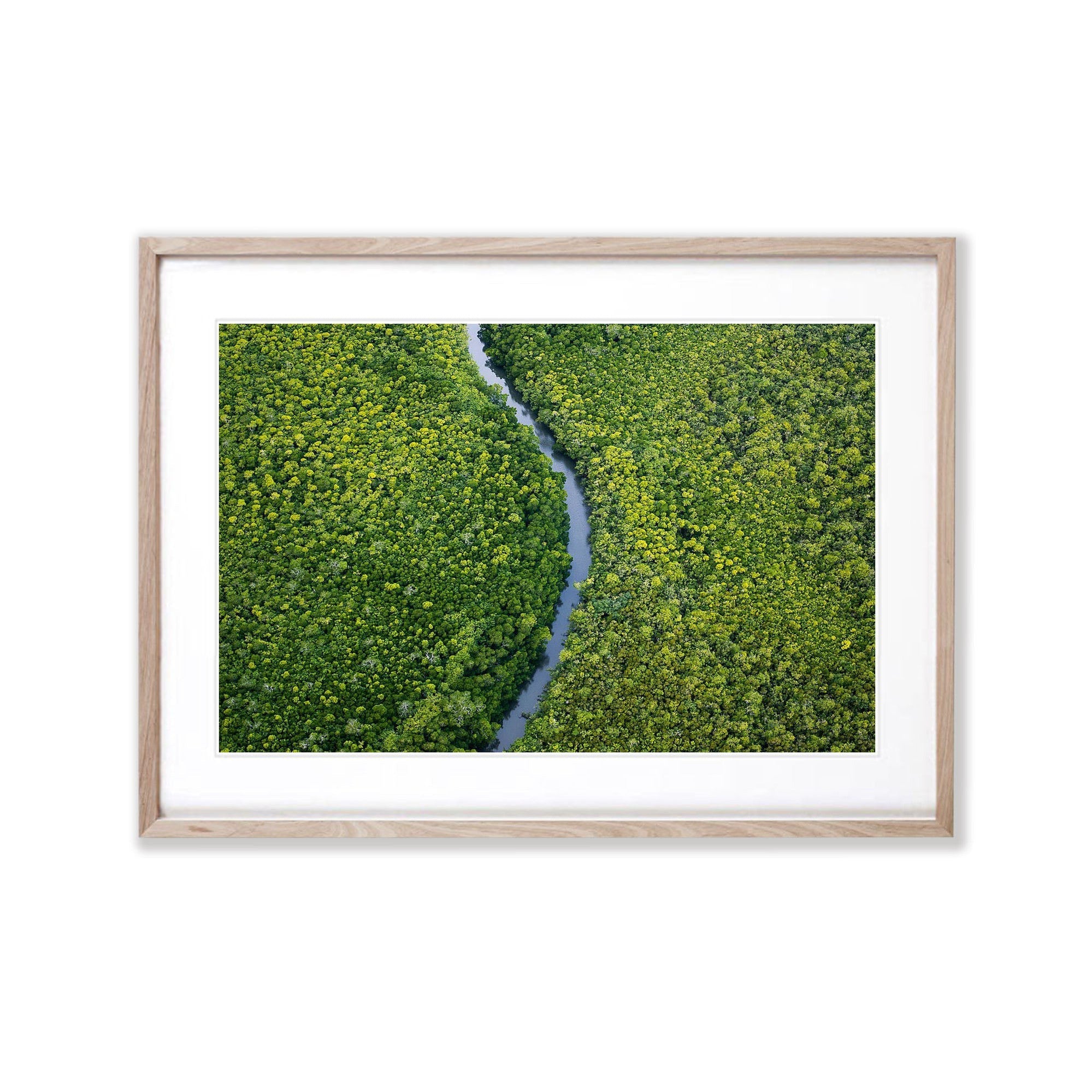 River Ribbon cuts through the mangroves, Daintree River, Far North Queensland