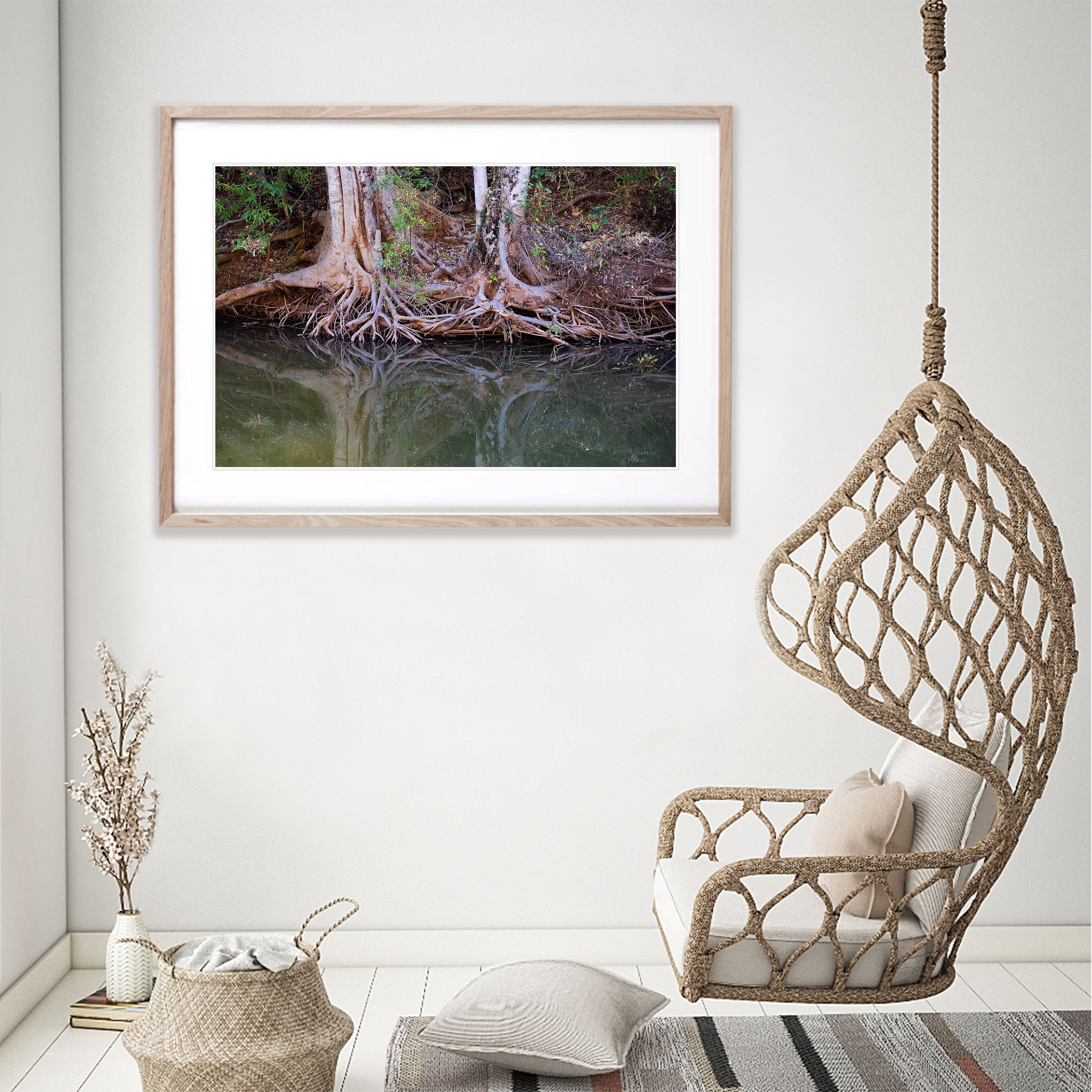 Riverbank Tree Roots, Ord River, The Kimberley, Western Australia